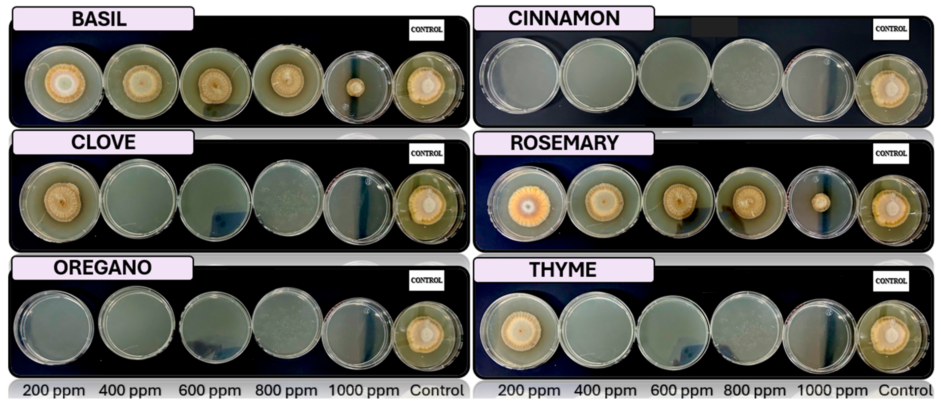 Microorganisms 13 02477 g007 Microorganisms 13 02477 g007