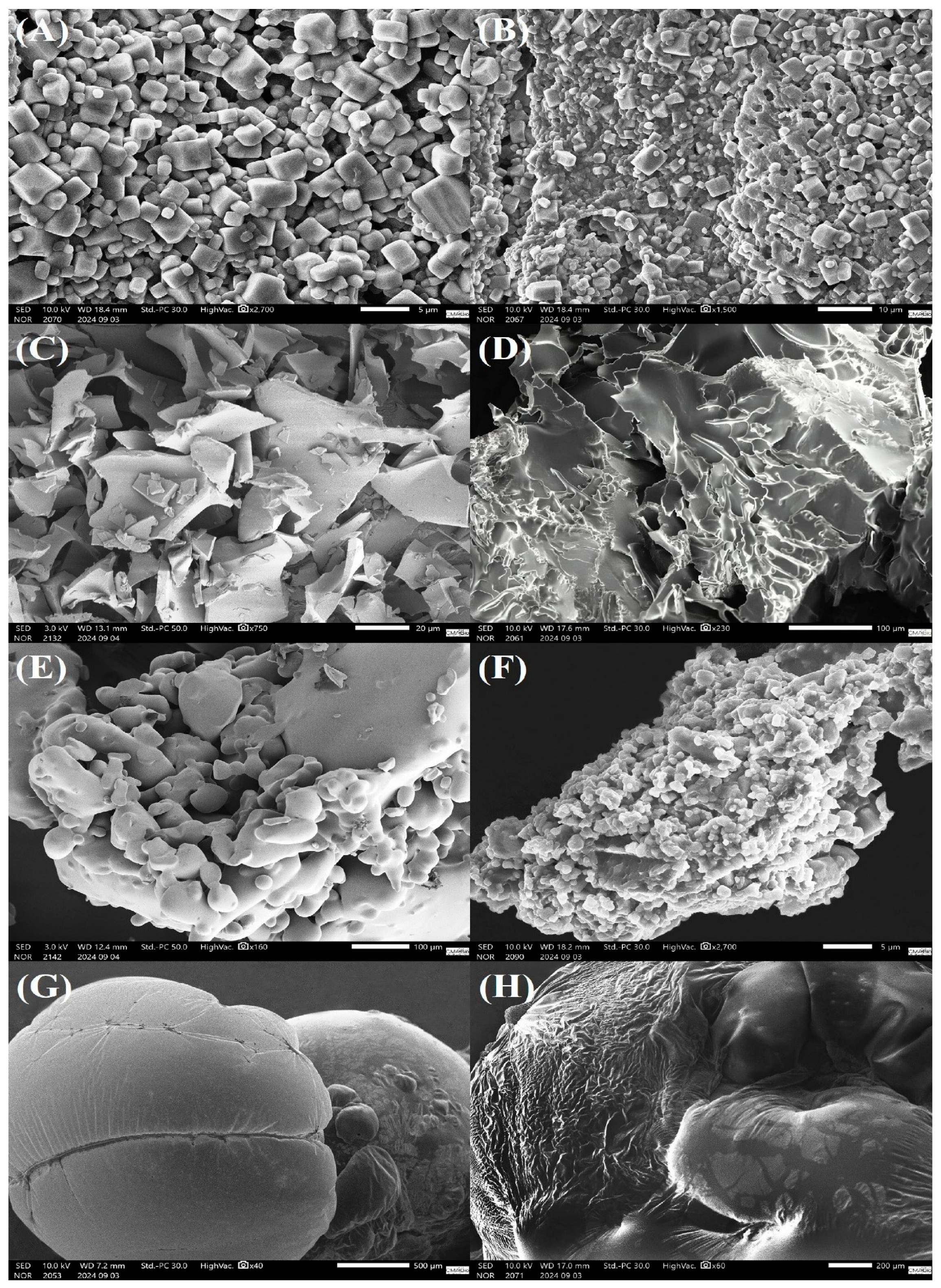 Microorganisms 13 02486 g002 Microorganisms 13 02486 g002