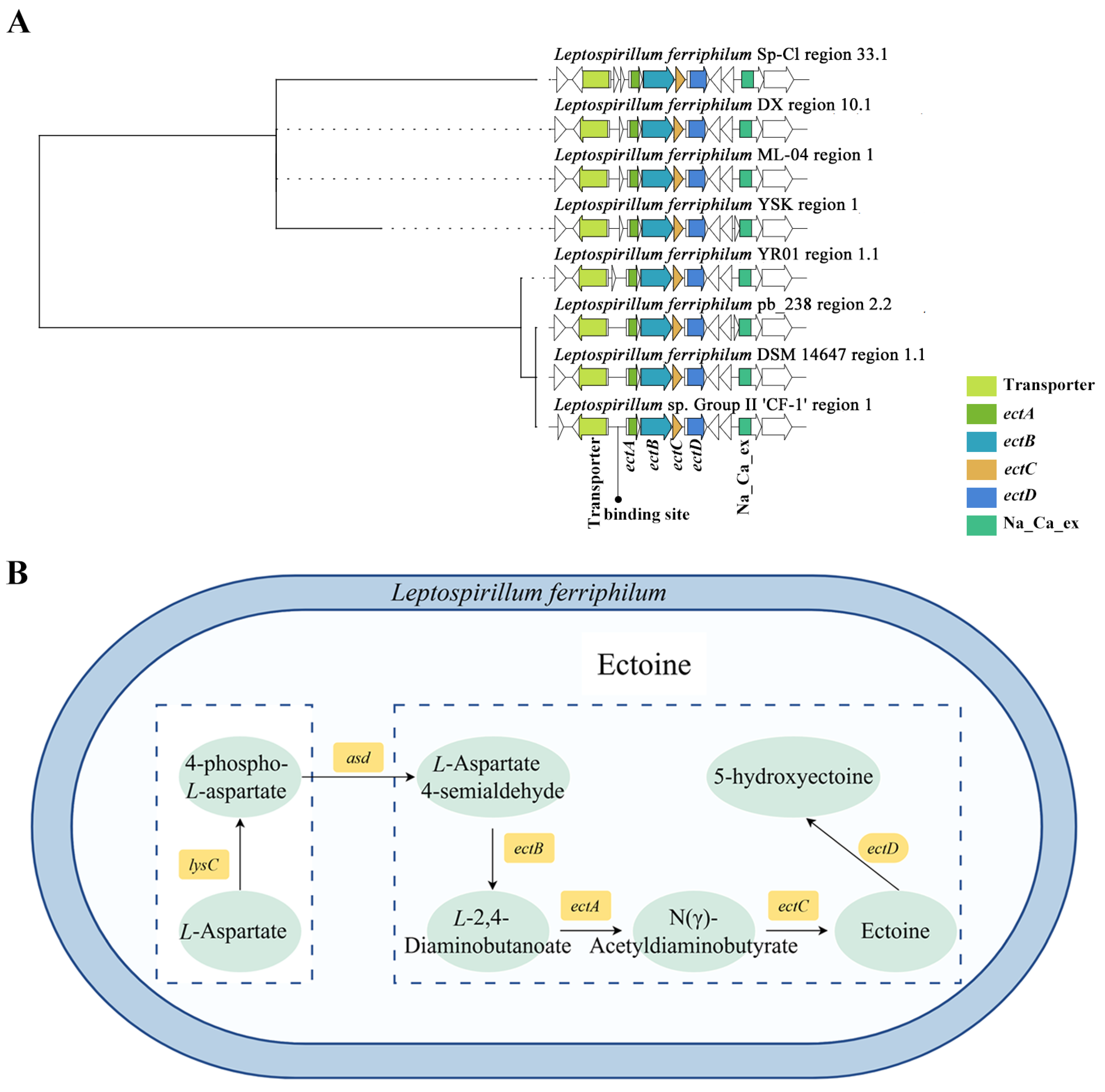 Microorganisms 13 02493 g003 Microorganisms 13 02493 g003