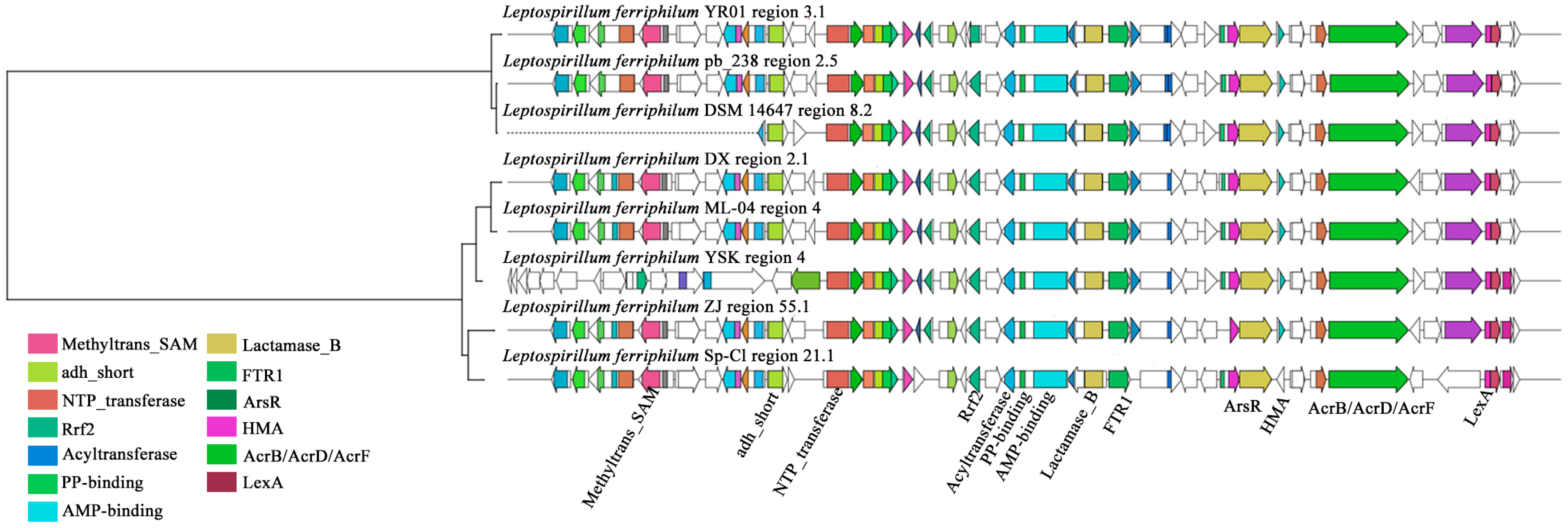 Microorganisms 13 02493 g004 Microorganisms 13 02493 g004