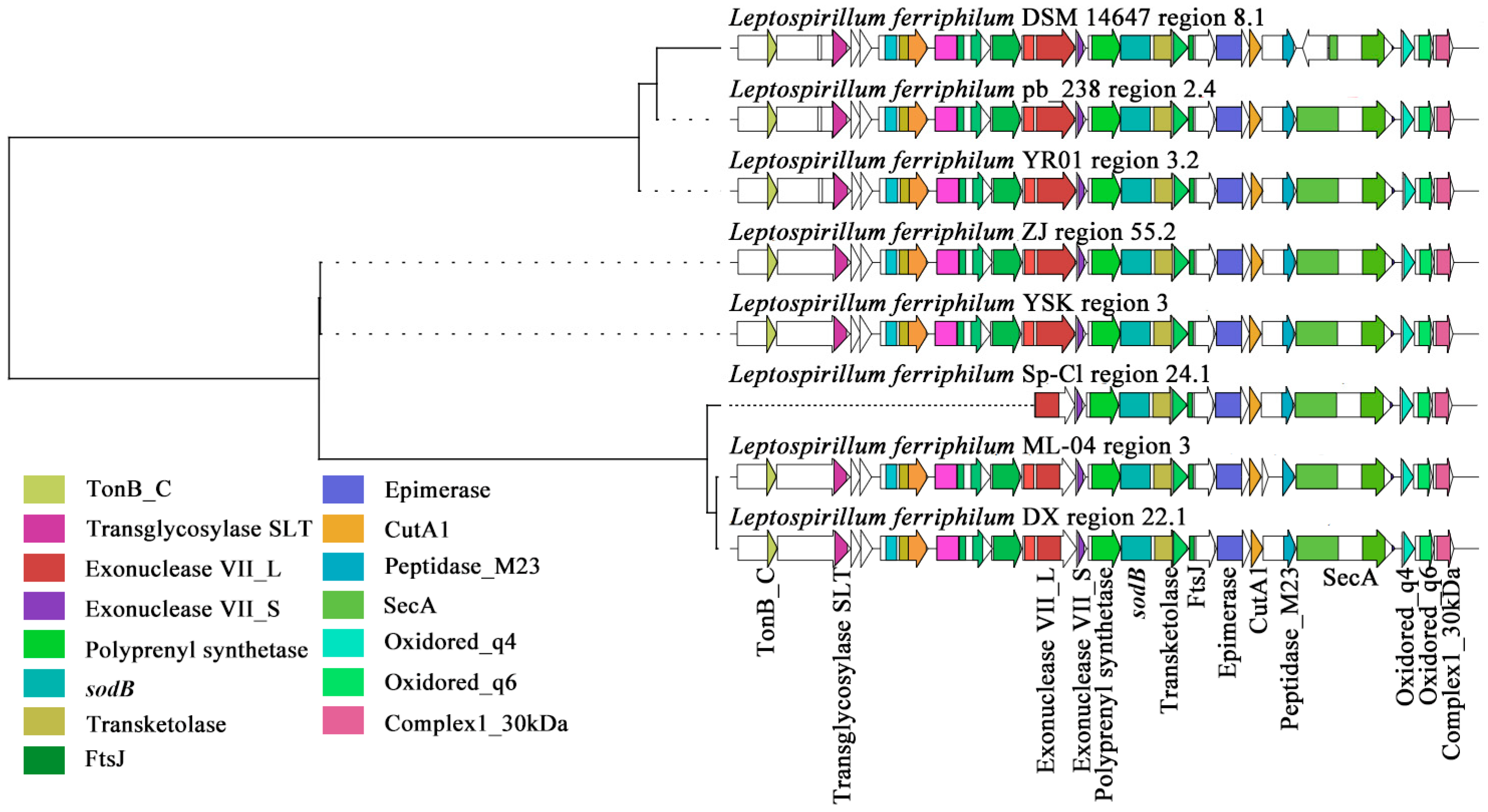 Microorganisms 13 02493 g005 Microorganisms 13 02493 g005