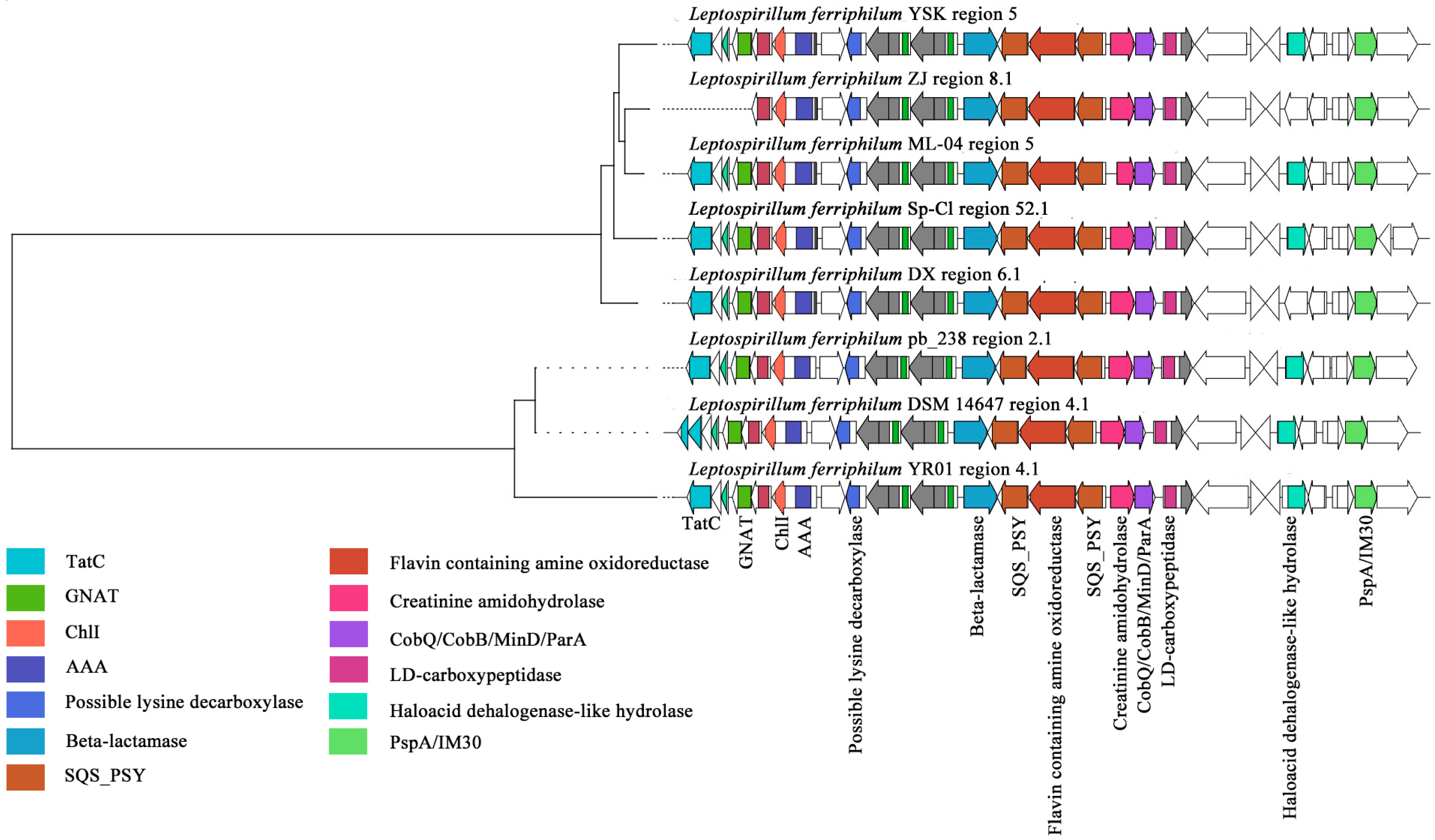 Microorganisms 13 02493 g006 Microorganisms 13 02493 g006