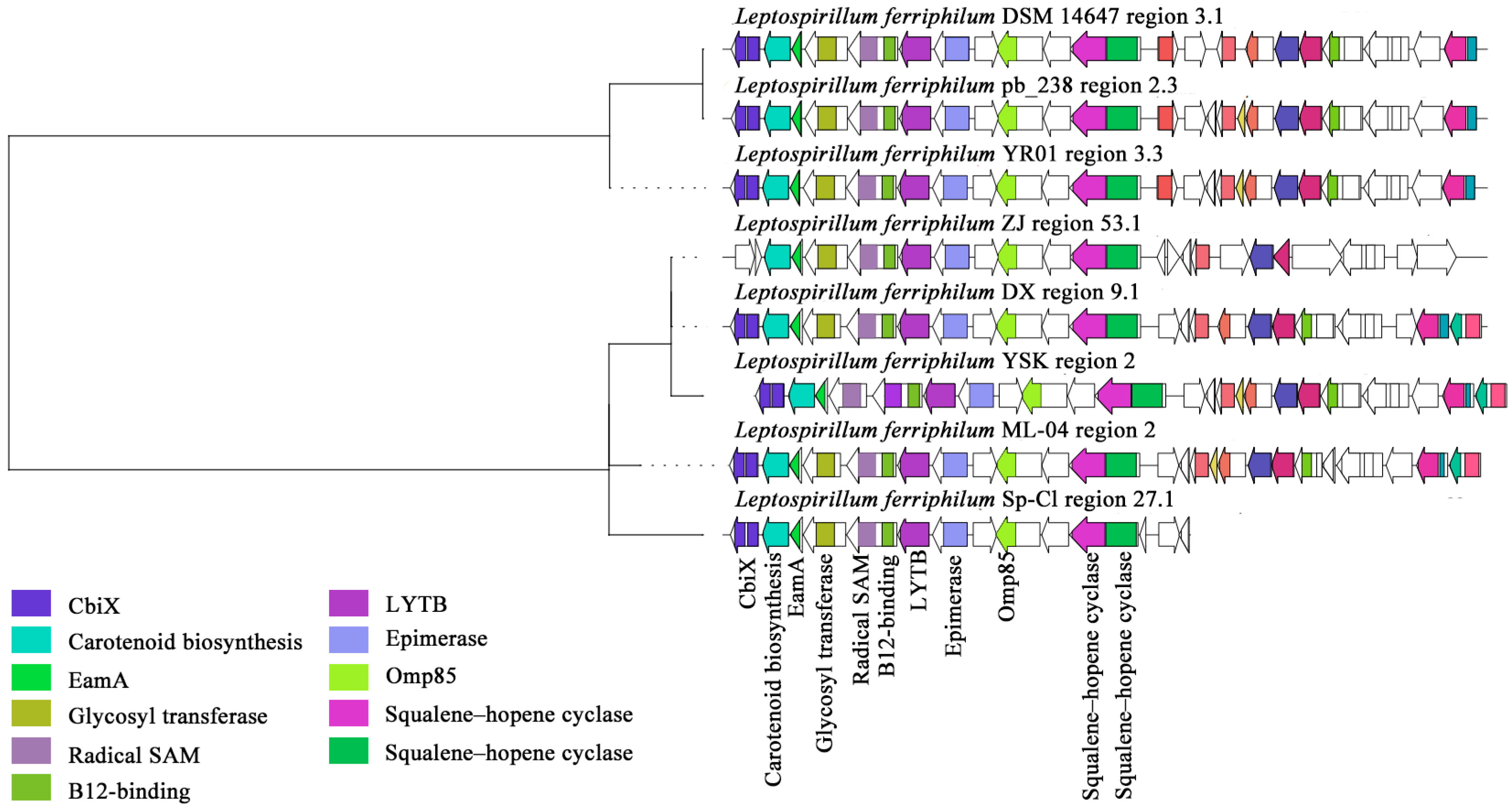 Microorganisms 13 02493 g007 Microorganisms 13 02493 g007