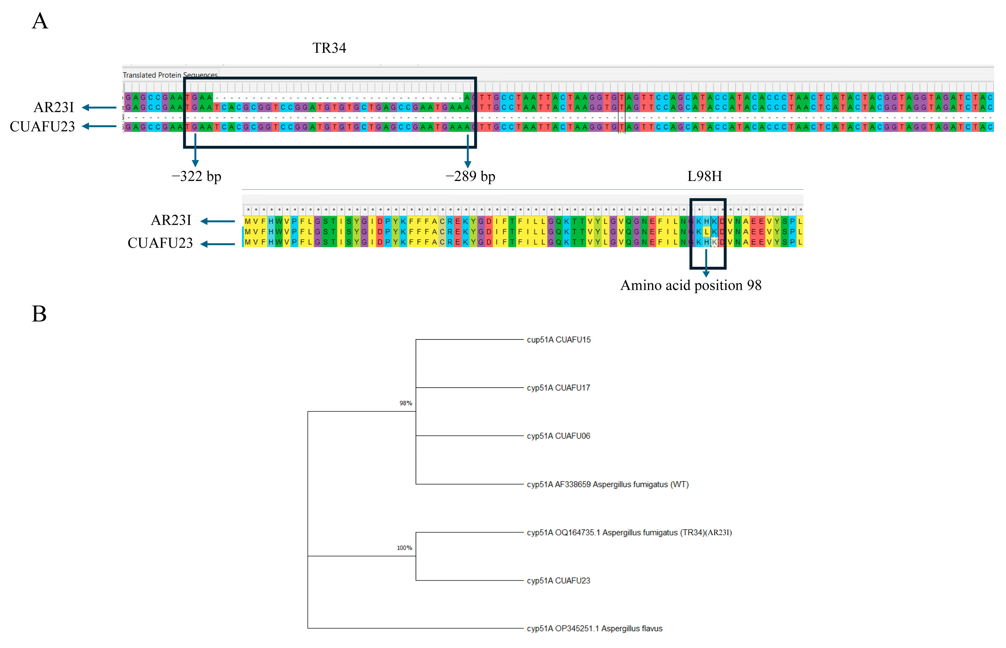 Microorganisms 13 02495 g002 Microorganisms 13 02495 g002
