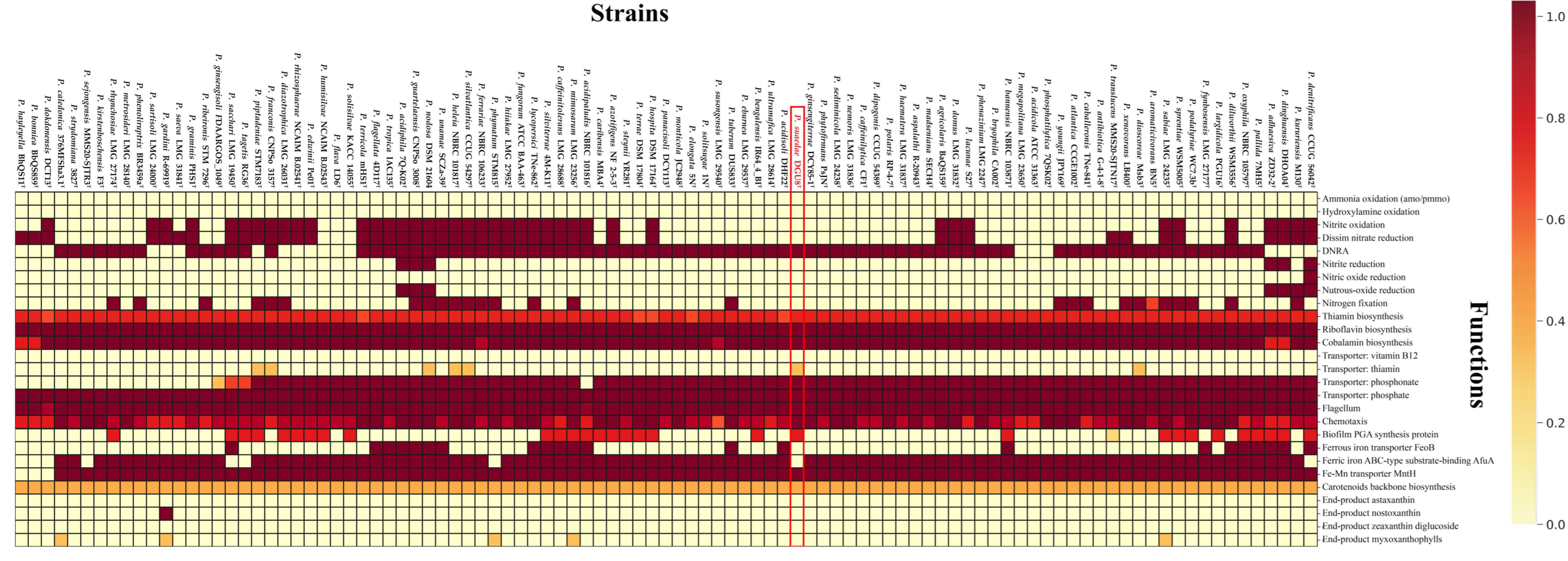 Microorganisms 13 02498 g006 Microorganisms 13 02498 g006