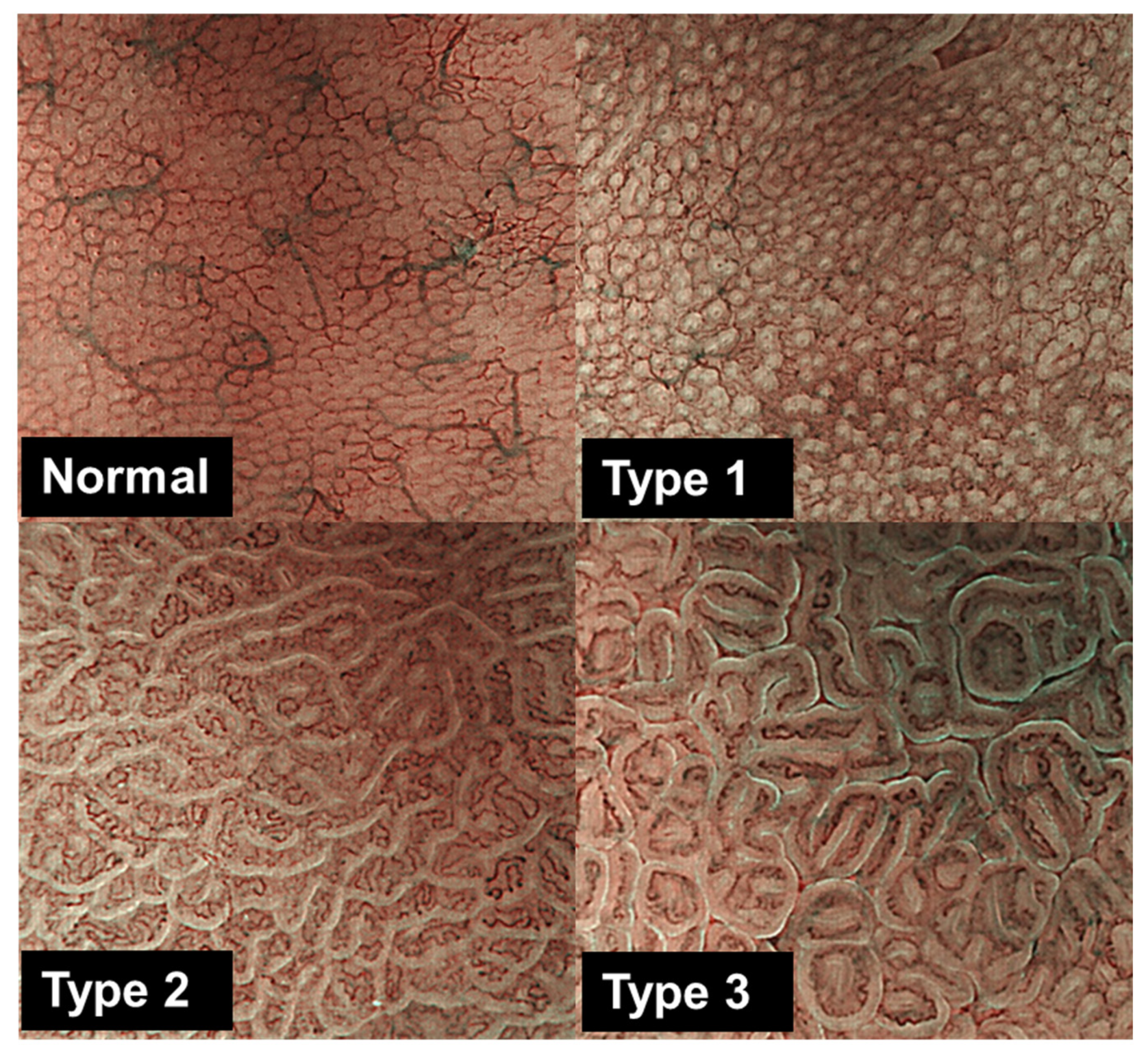 Microorganisms 13 02499 g001 Microorganisms 13 02499 g001