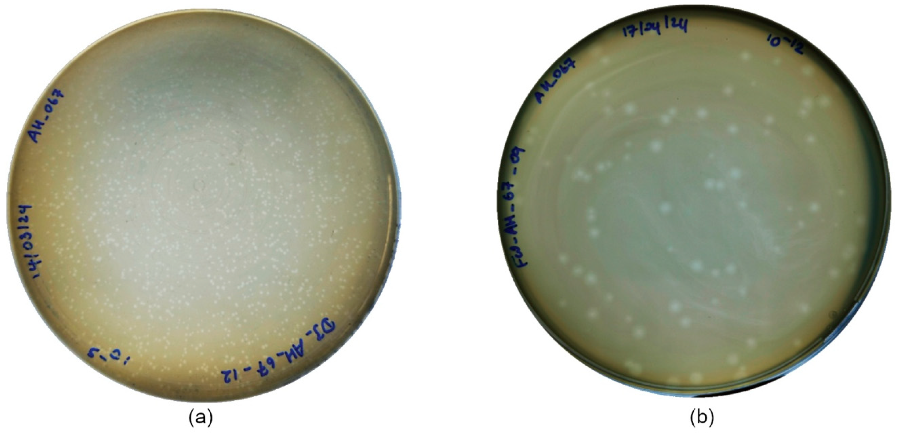 Microorganisms 13 02503 g001