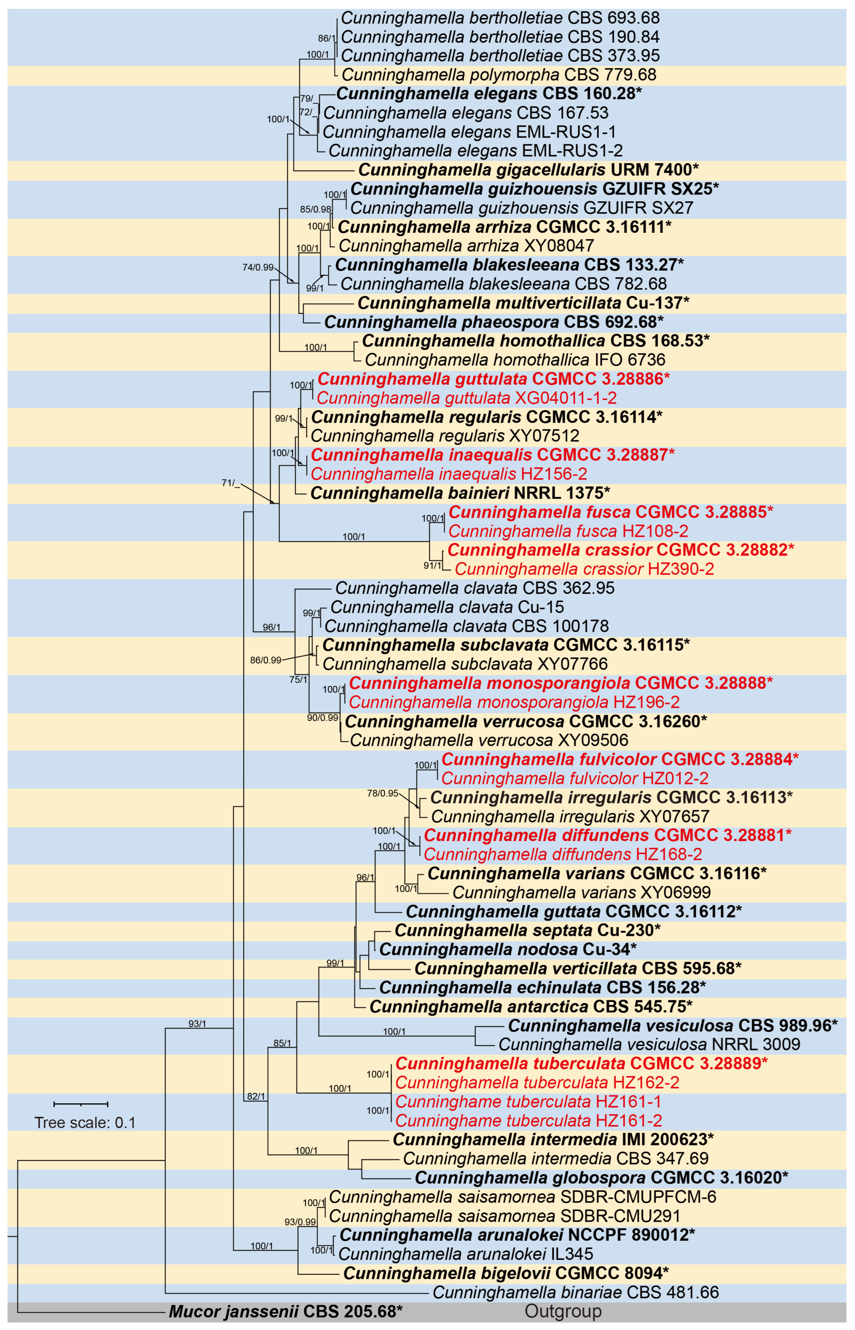 Microorganisms 13 02508 g001 Microorganisms 13 02508 g001