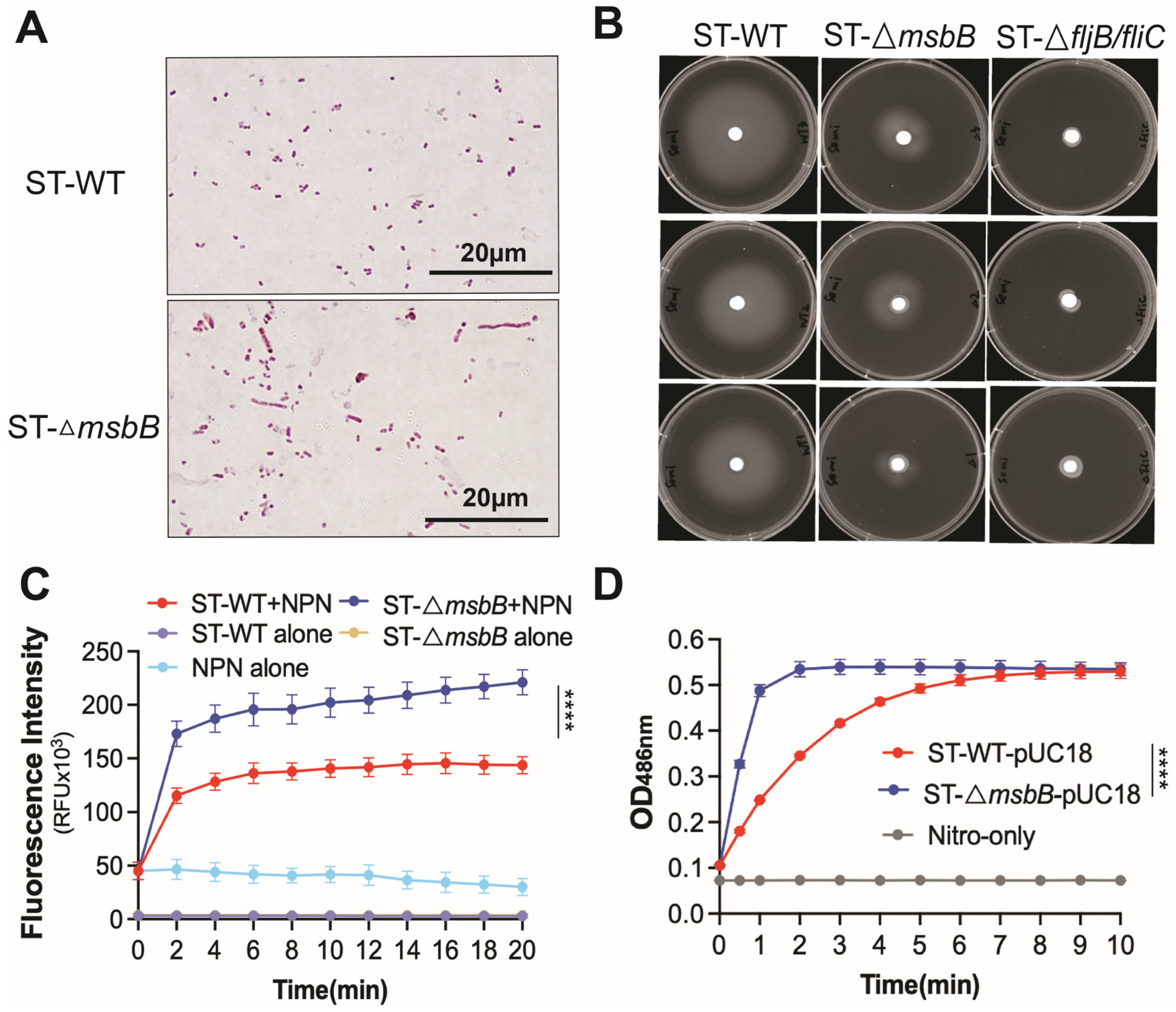 Microorganisms 13 02510 g006