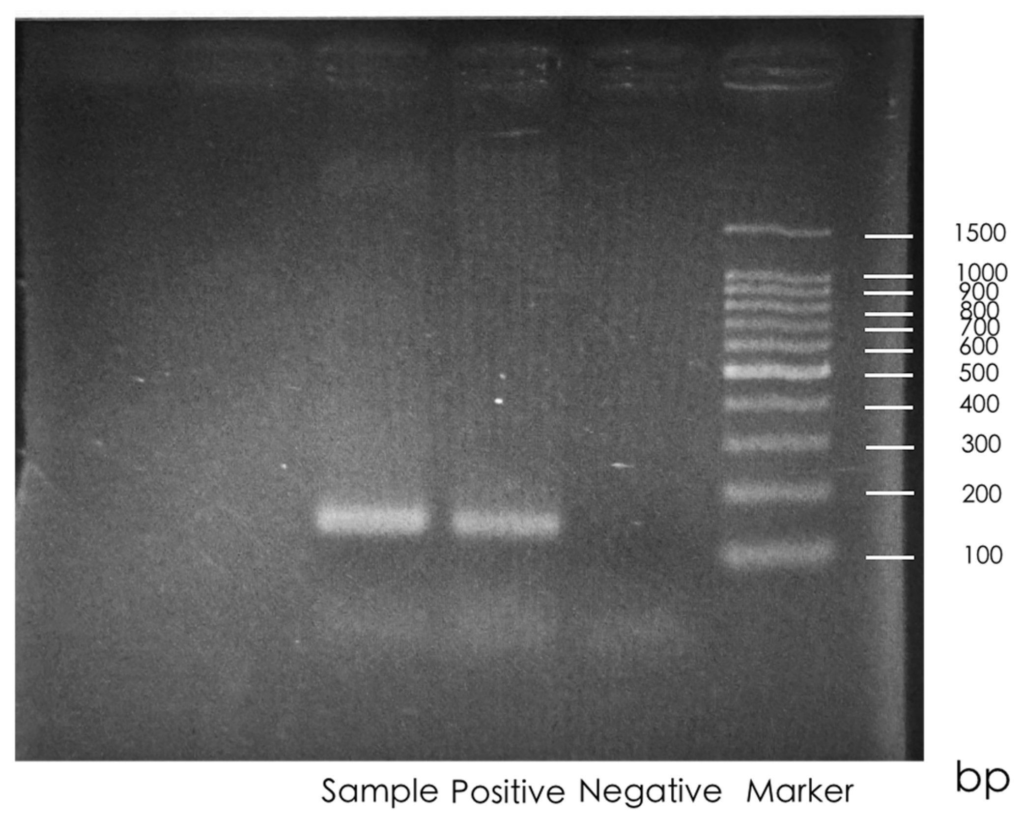 Microorganisms 13 02514 g001