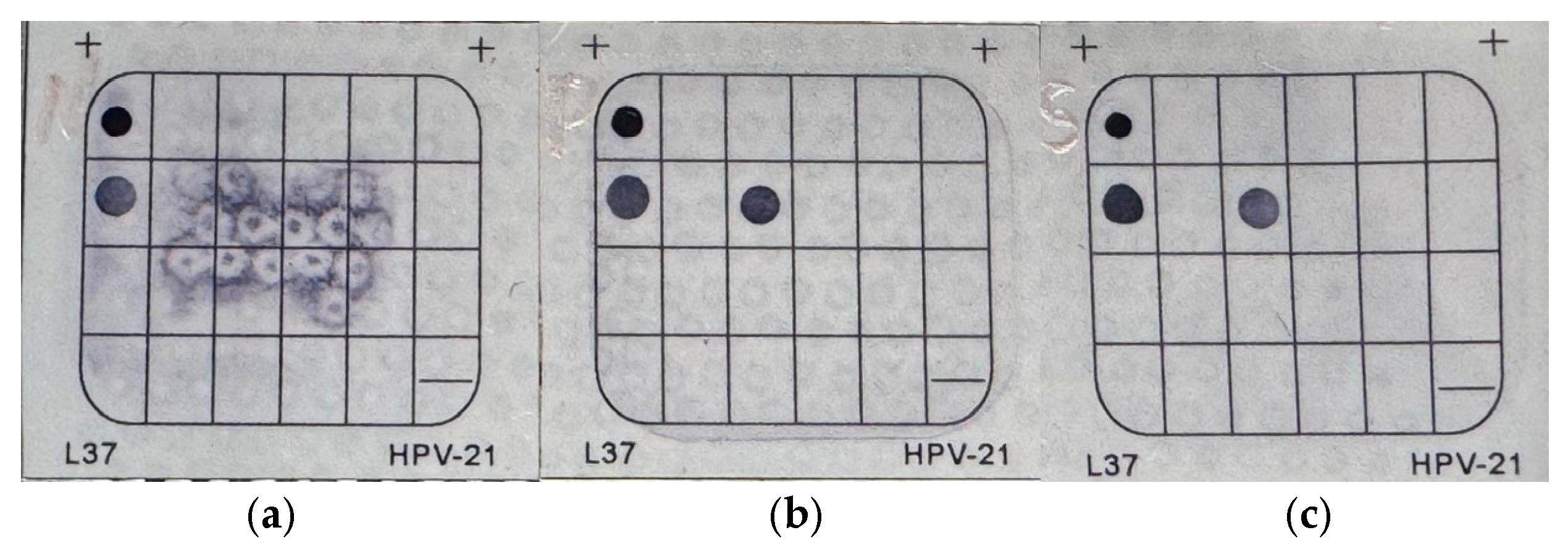 Microorganisms 13 02514 g002