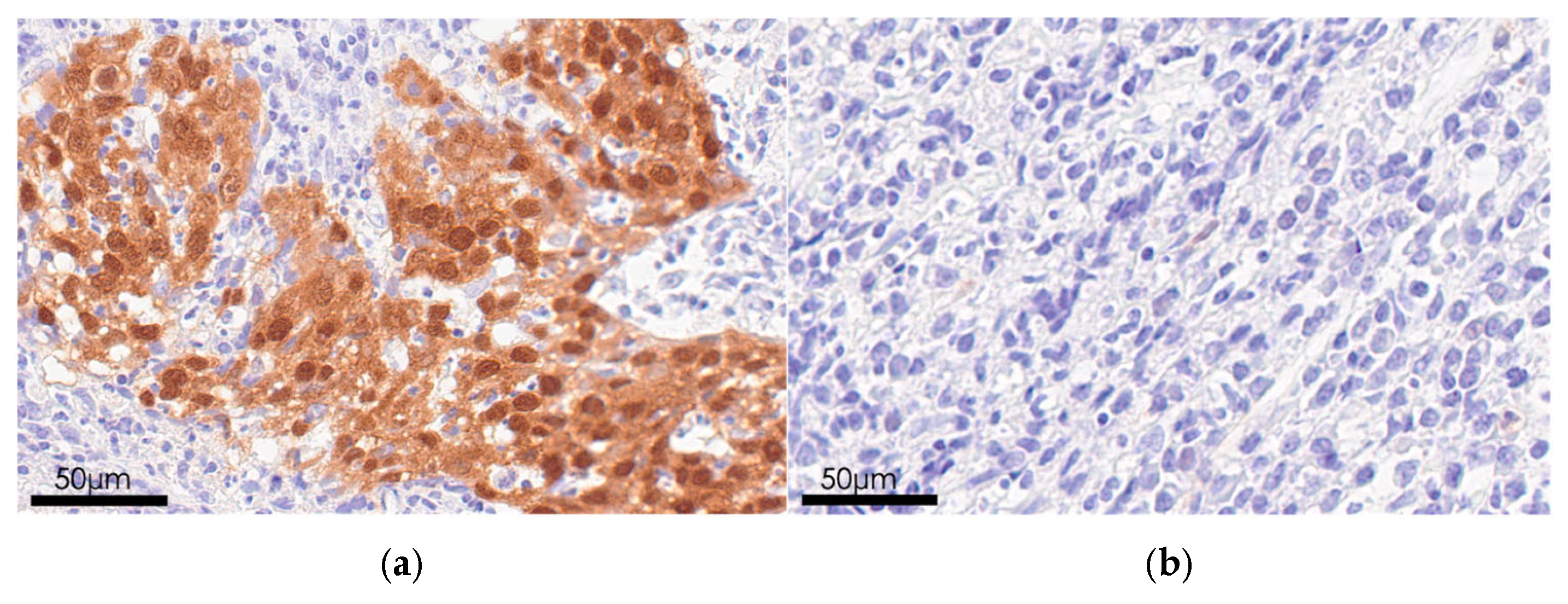 Microorganisms 13 02514 g003