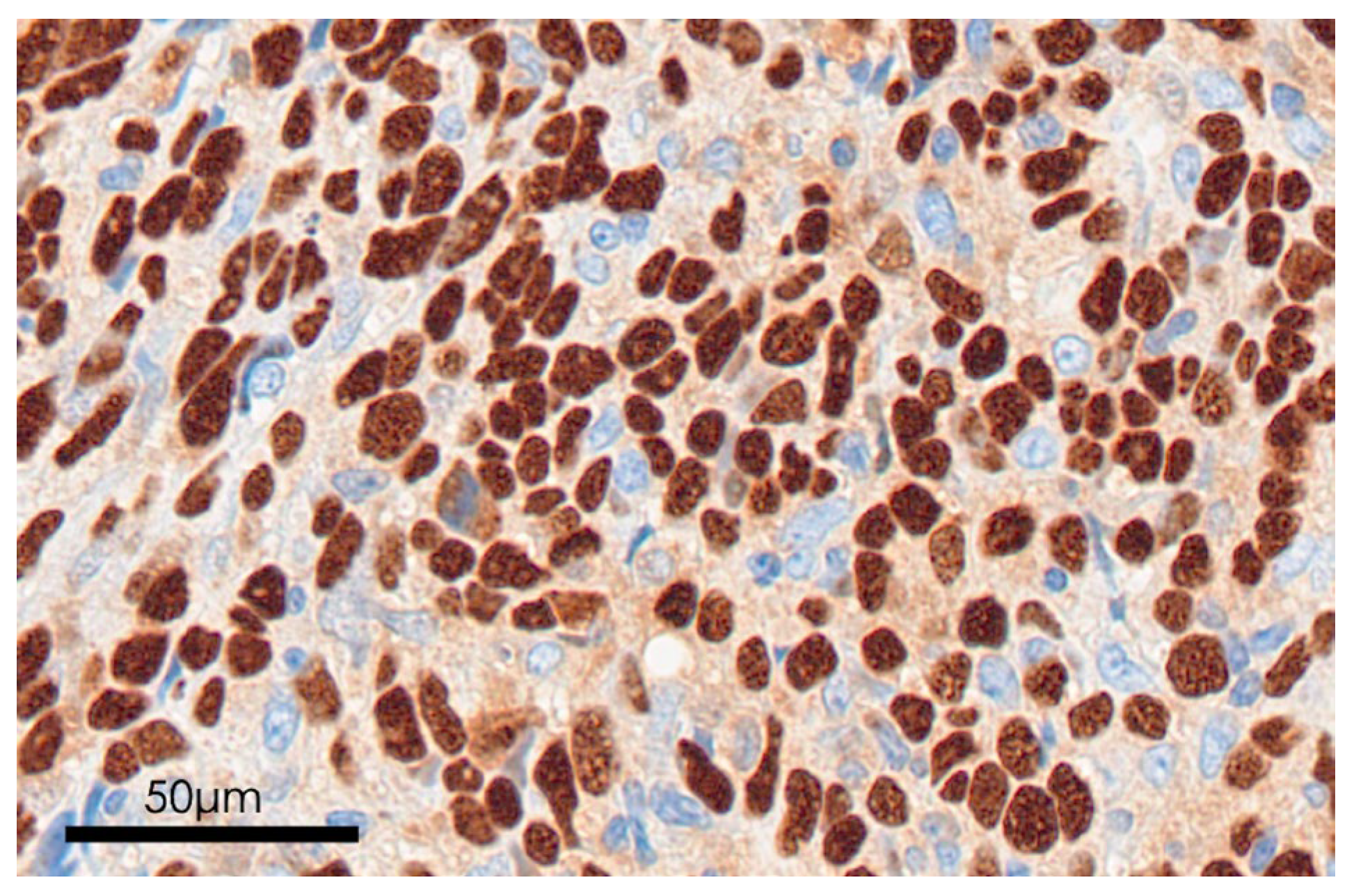 Microorganisms 13 02514 g004