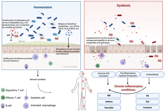 専用ページ　S-1 Gut Microbiome and Immune System Crosstalk in Chronic Inflammatory