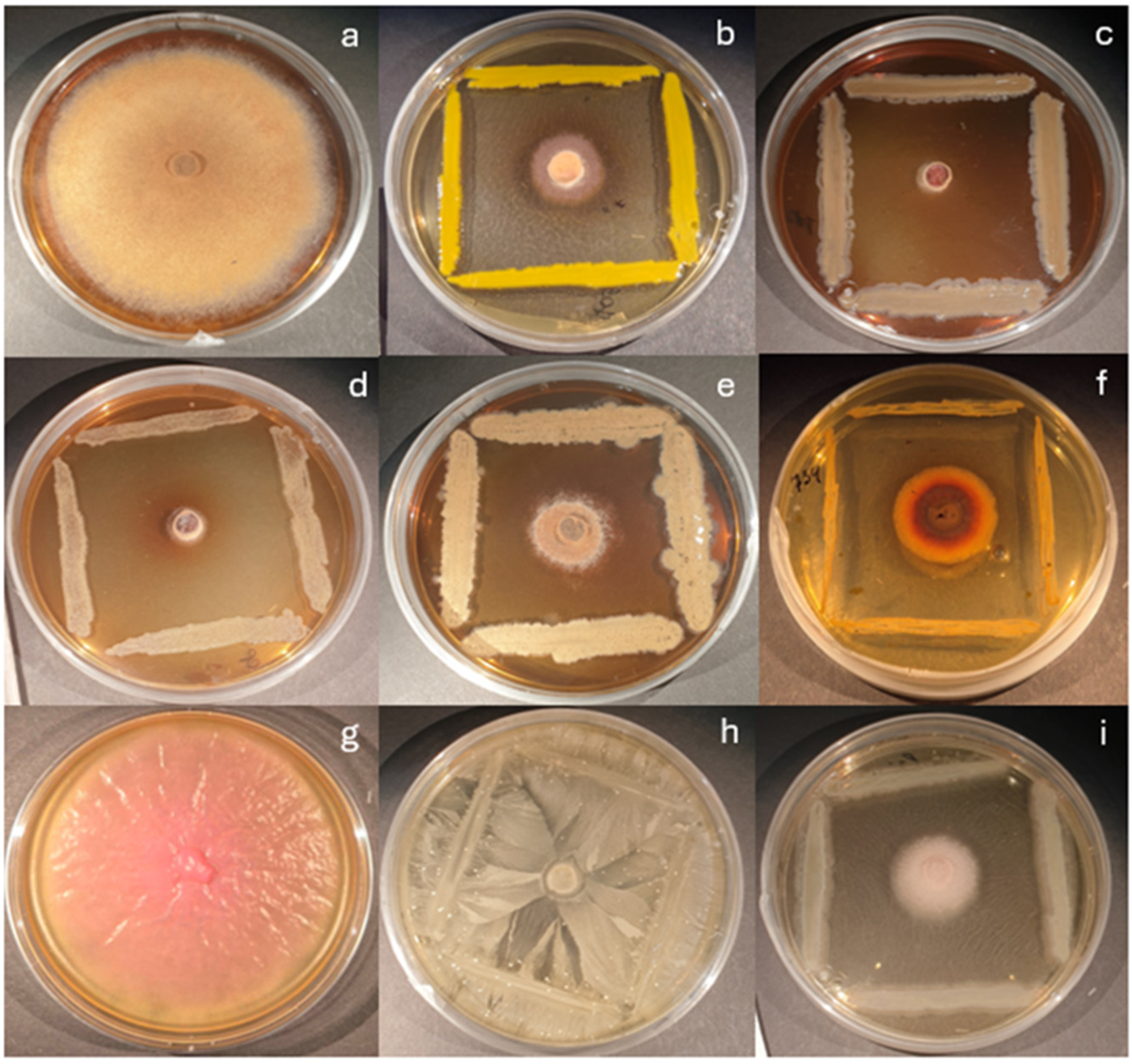 Microorganisms 13 02517 g003 Microorganisms 13 02517 g003