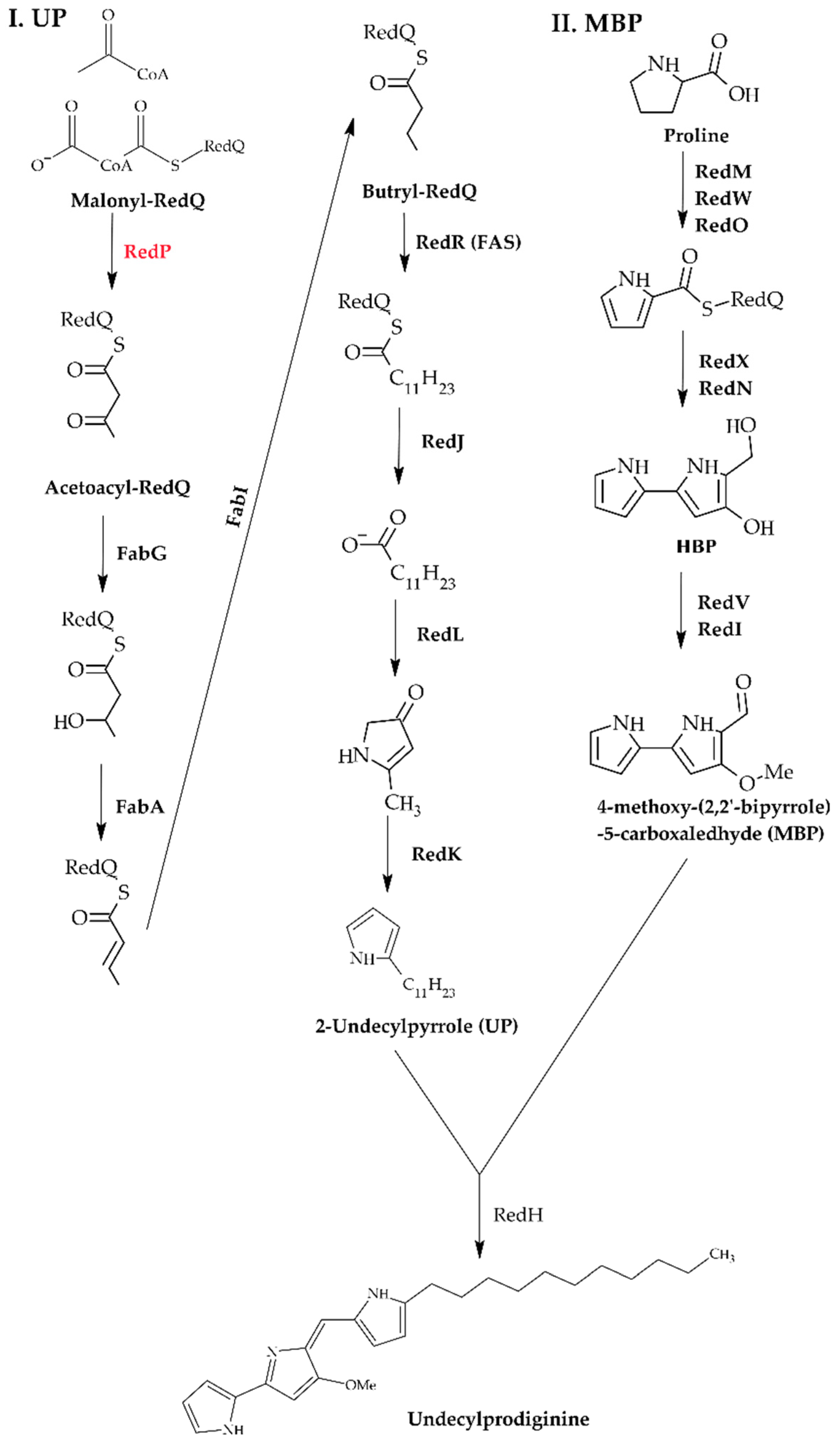 Microorganisms 13 02520 g001