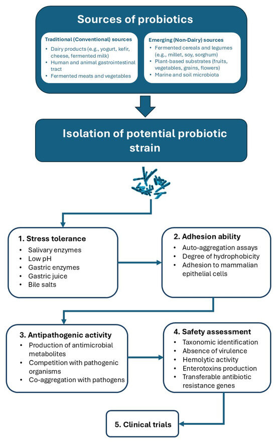 Probiotic Potential of Traditional and Emerging Microbial Strains in ...