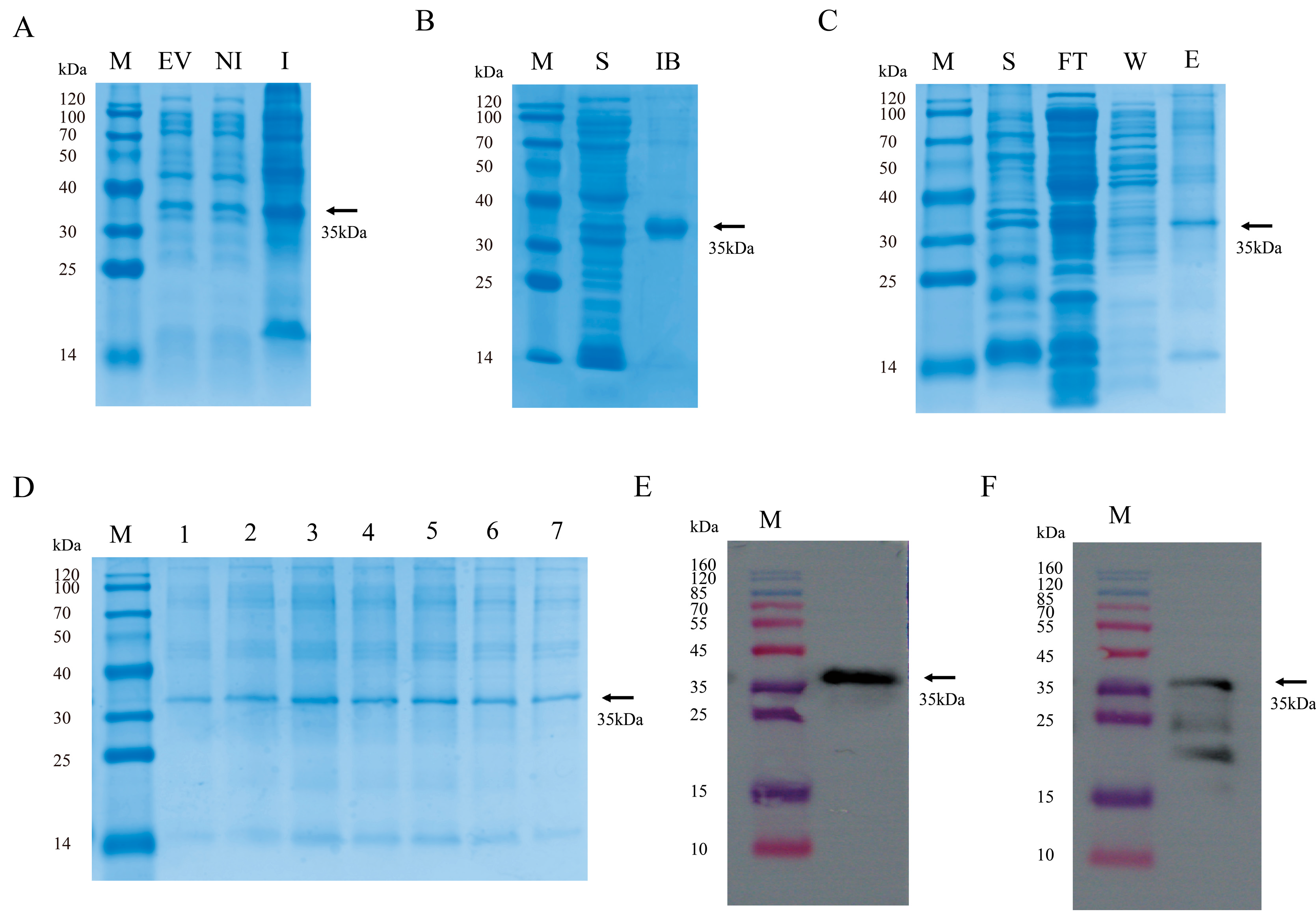 Microorganisms 13 02524 g001