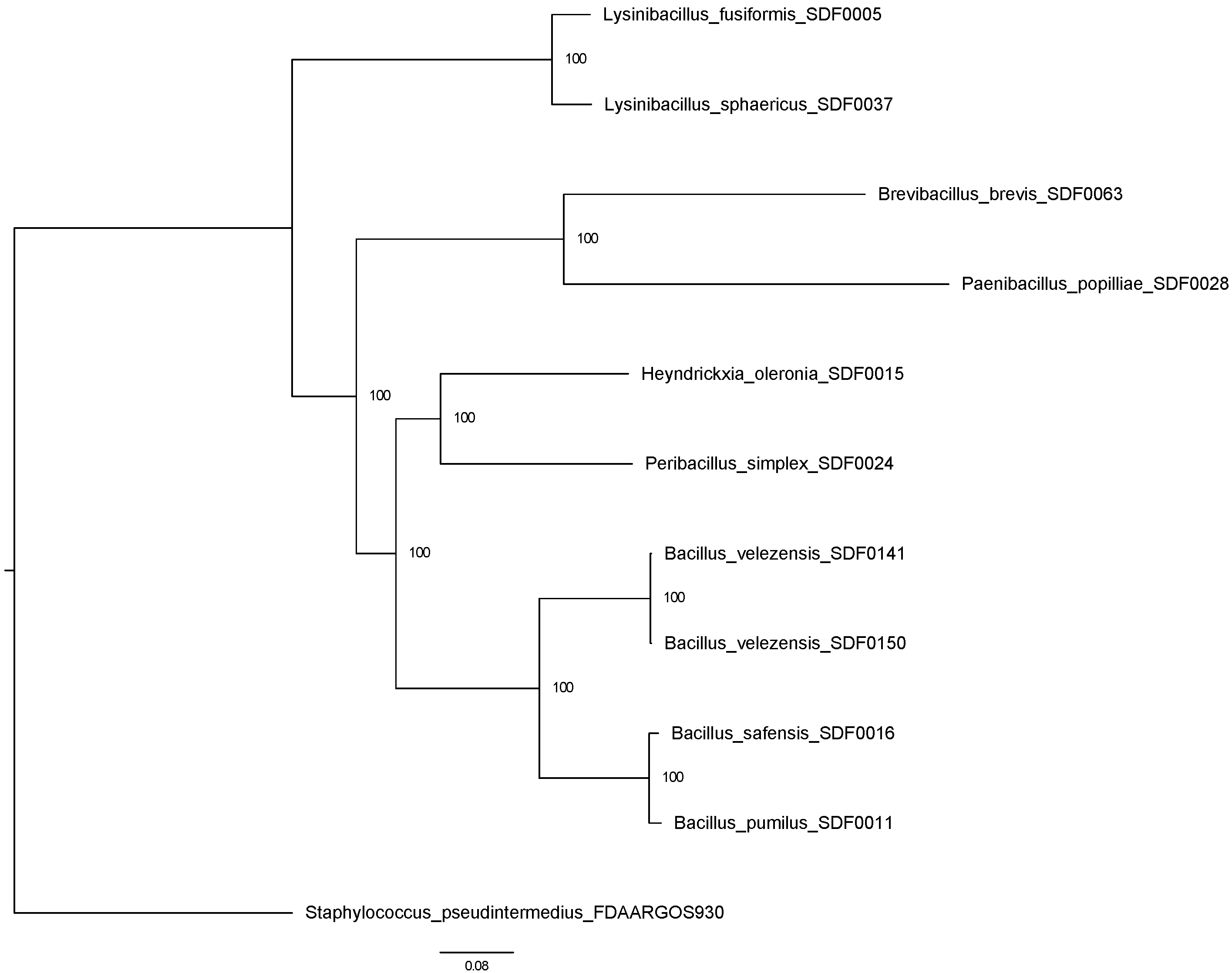 Microorganisms 13 02528 g001