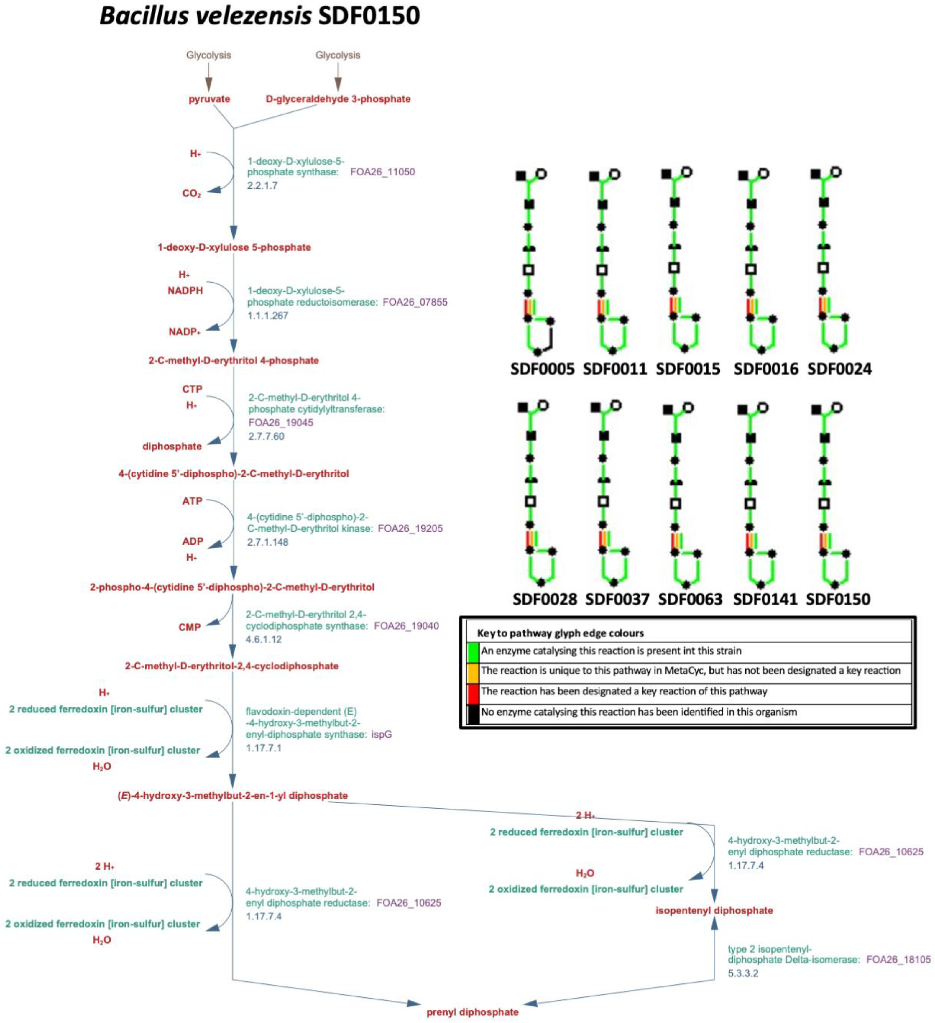 Microorganisms 13 02528 g002