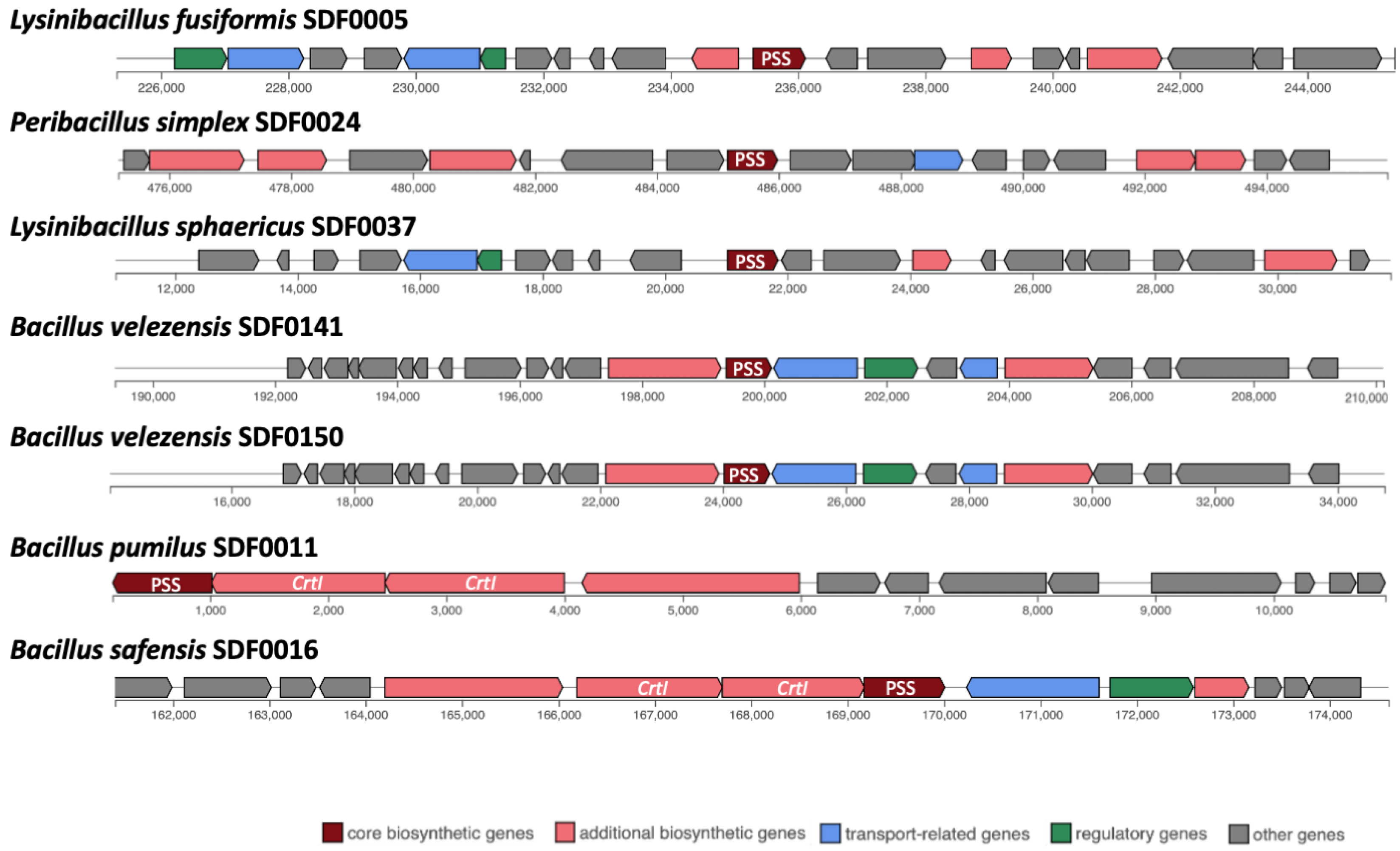 Microorganisms 13 02528 g004