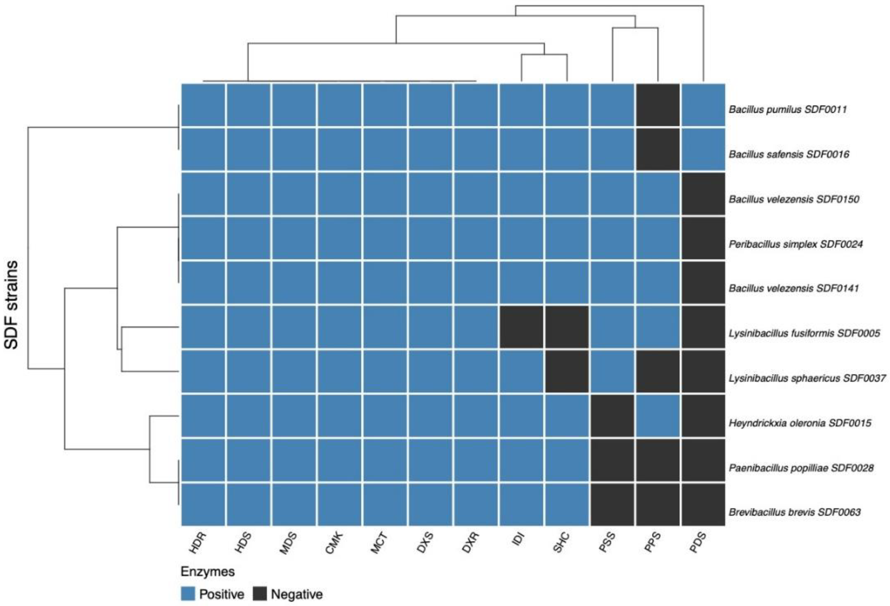 Microorganisms 13 02528 g005