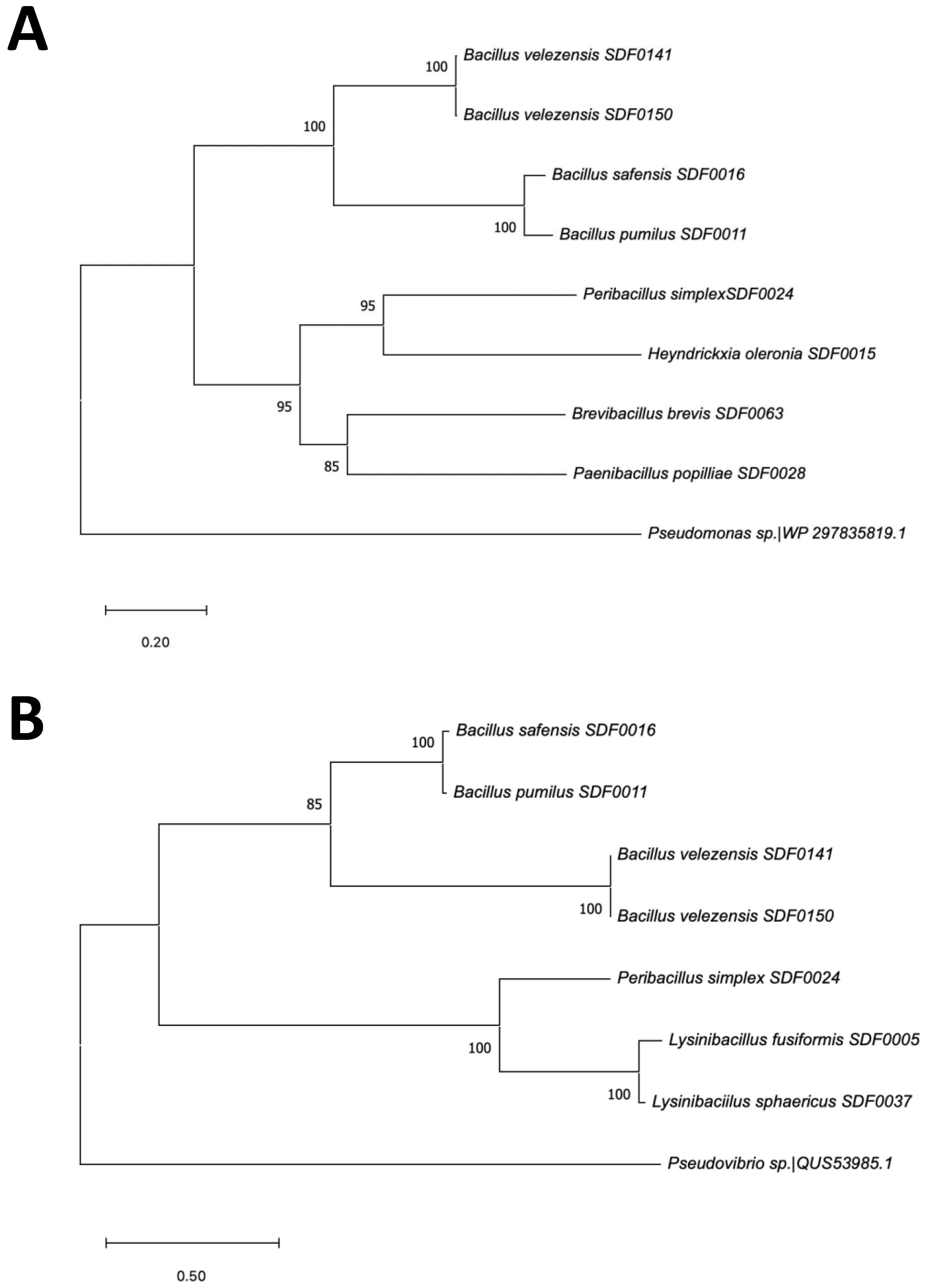 Microorganisms 13 02528 g006