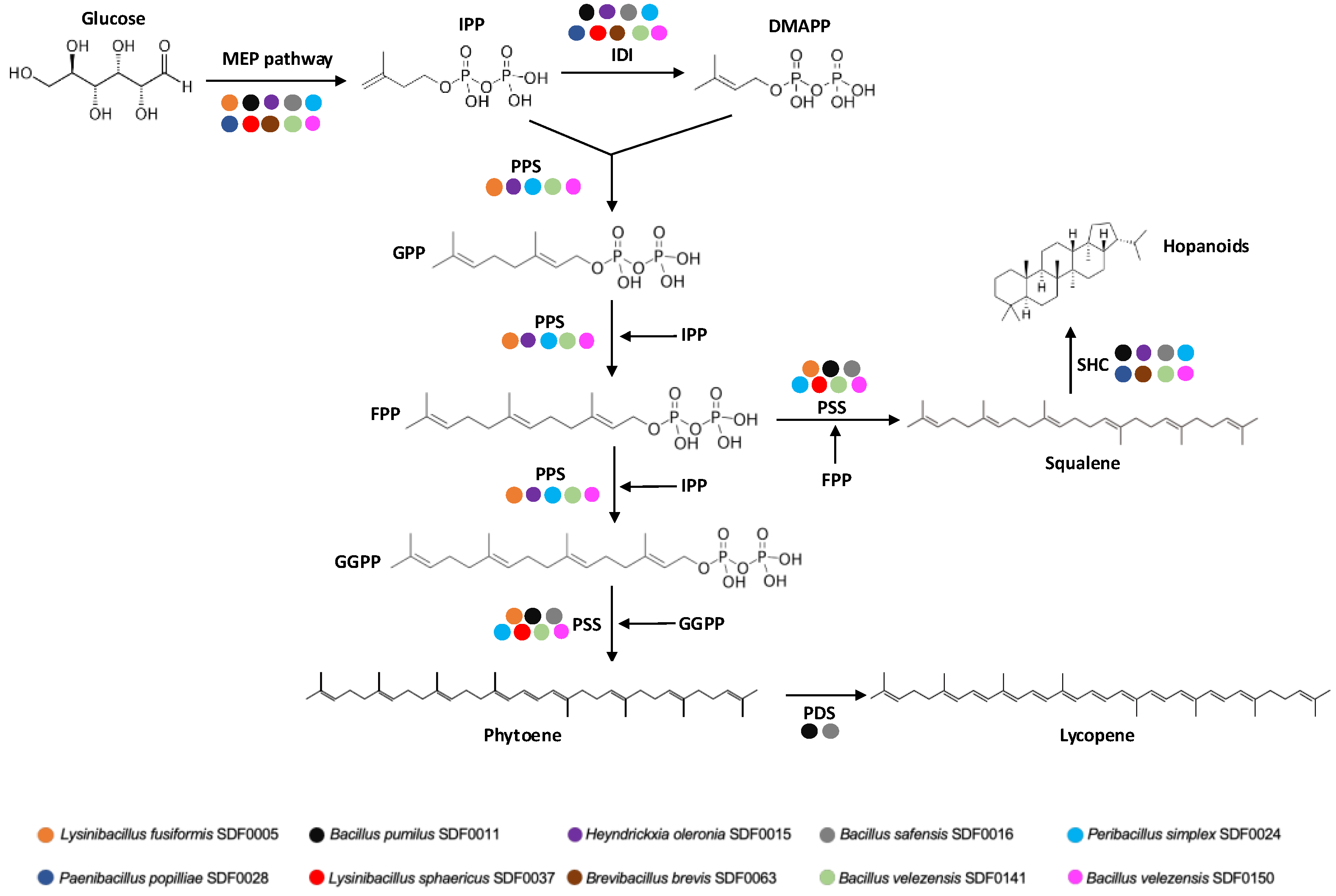 Microorganisms 13 02528 g007