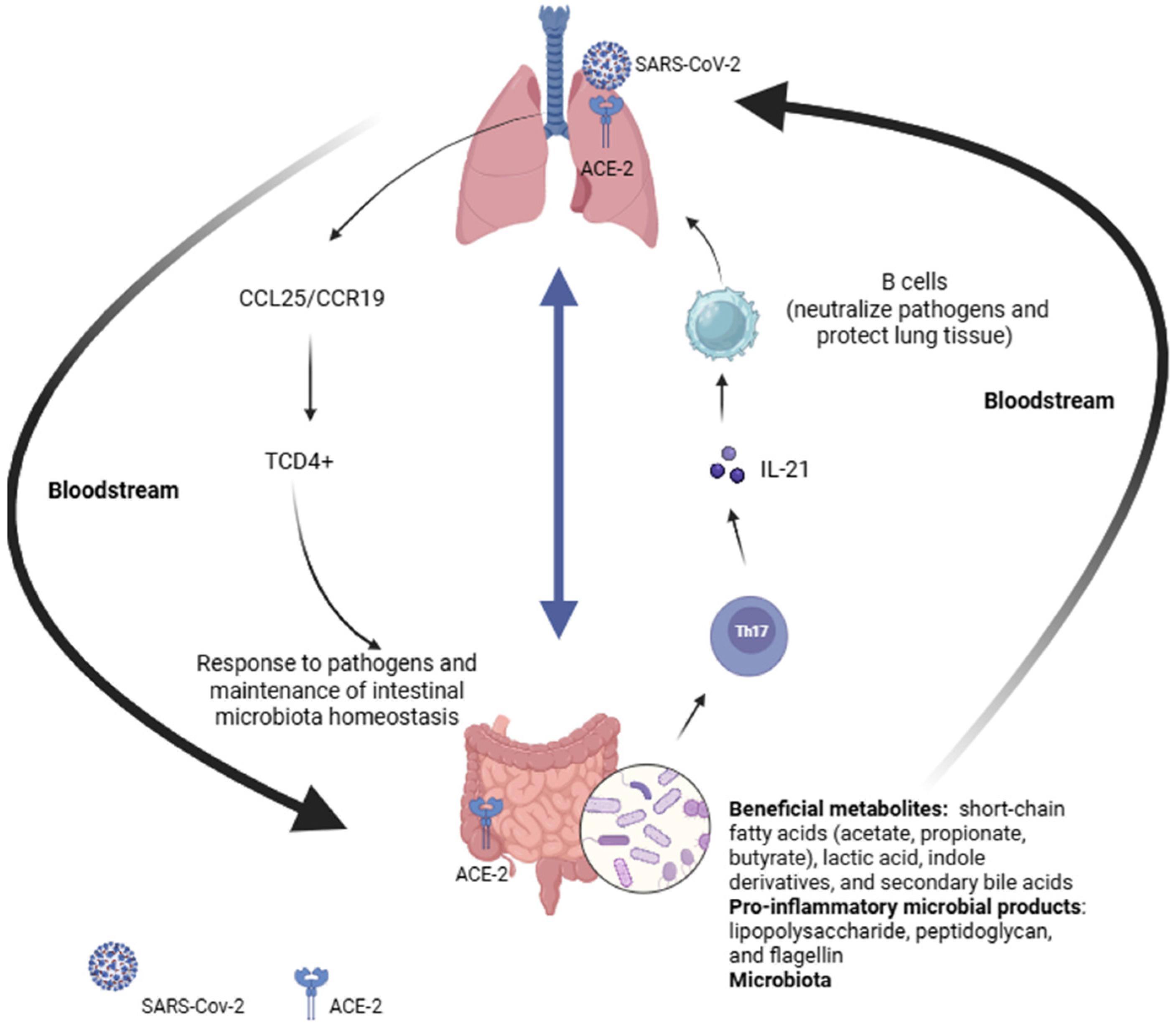 Microorganisms 13 02529 g001 Microorganisms 13 02529 g001