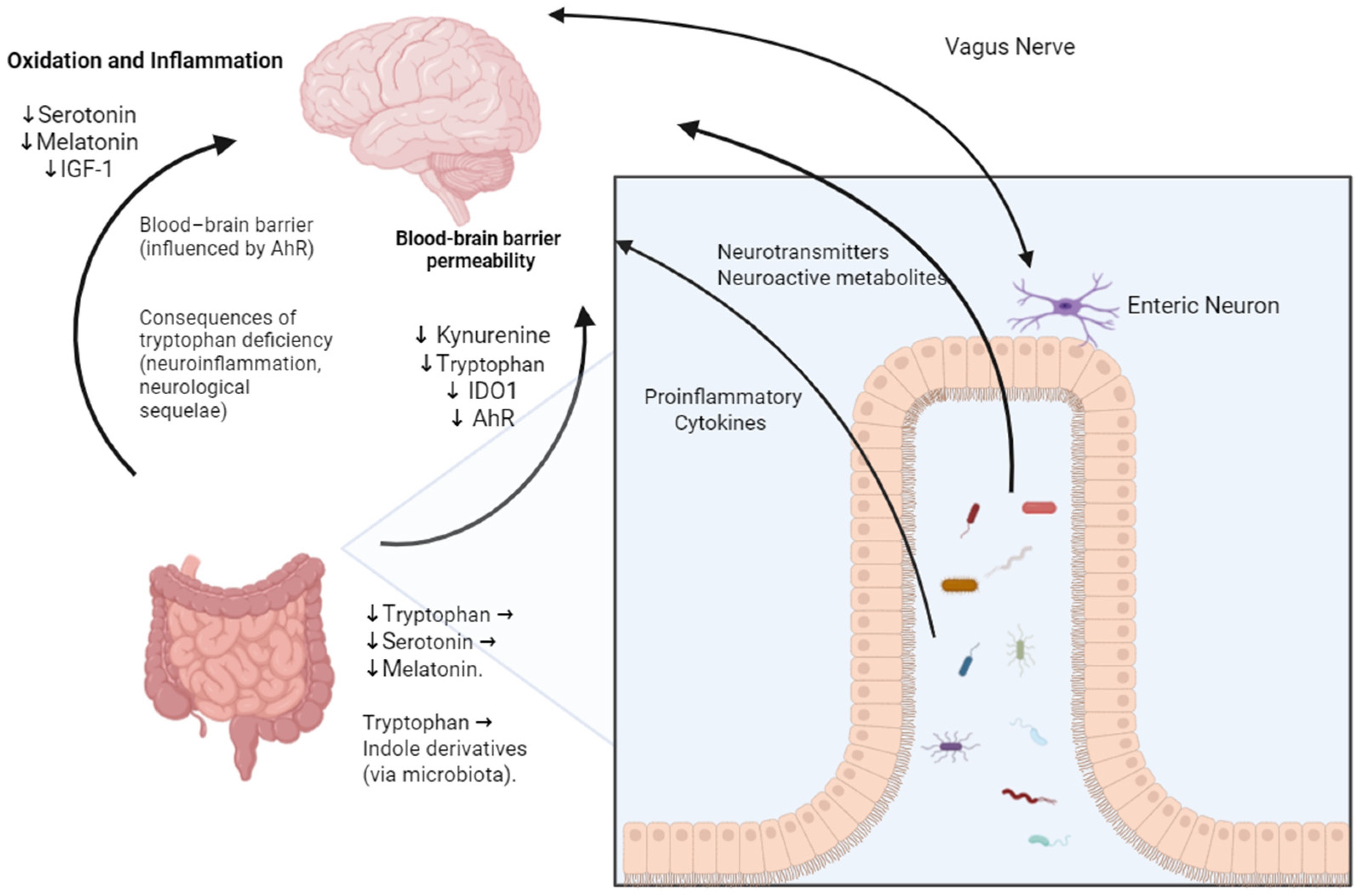 Microorganisms 13 02529 g002 Microorganisms 13 02529 g002