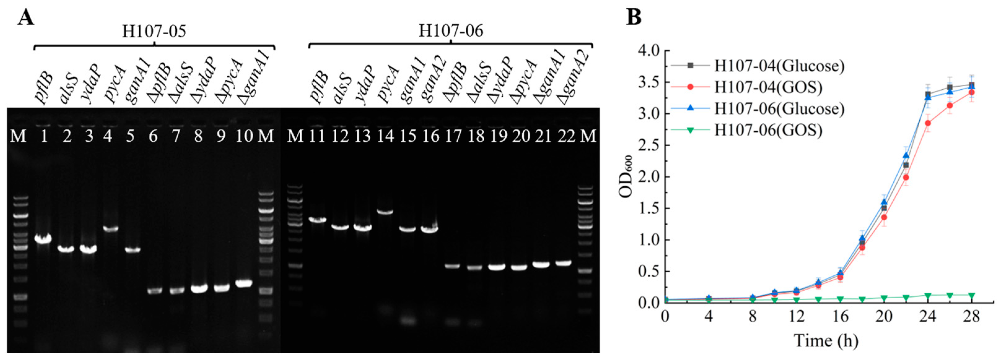 Microorganisms 13 02530 g002 Microorganisms 13 02530 g002