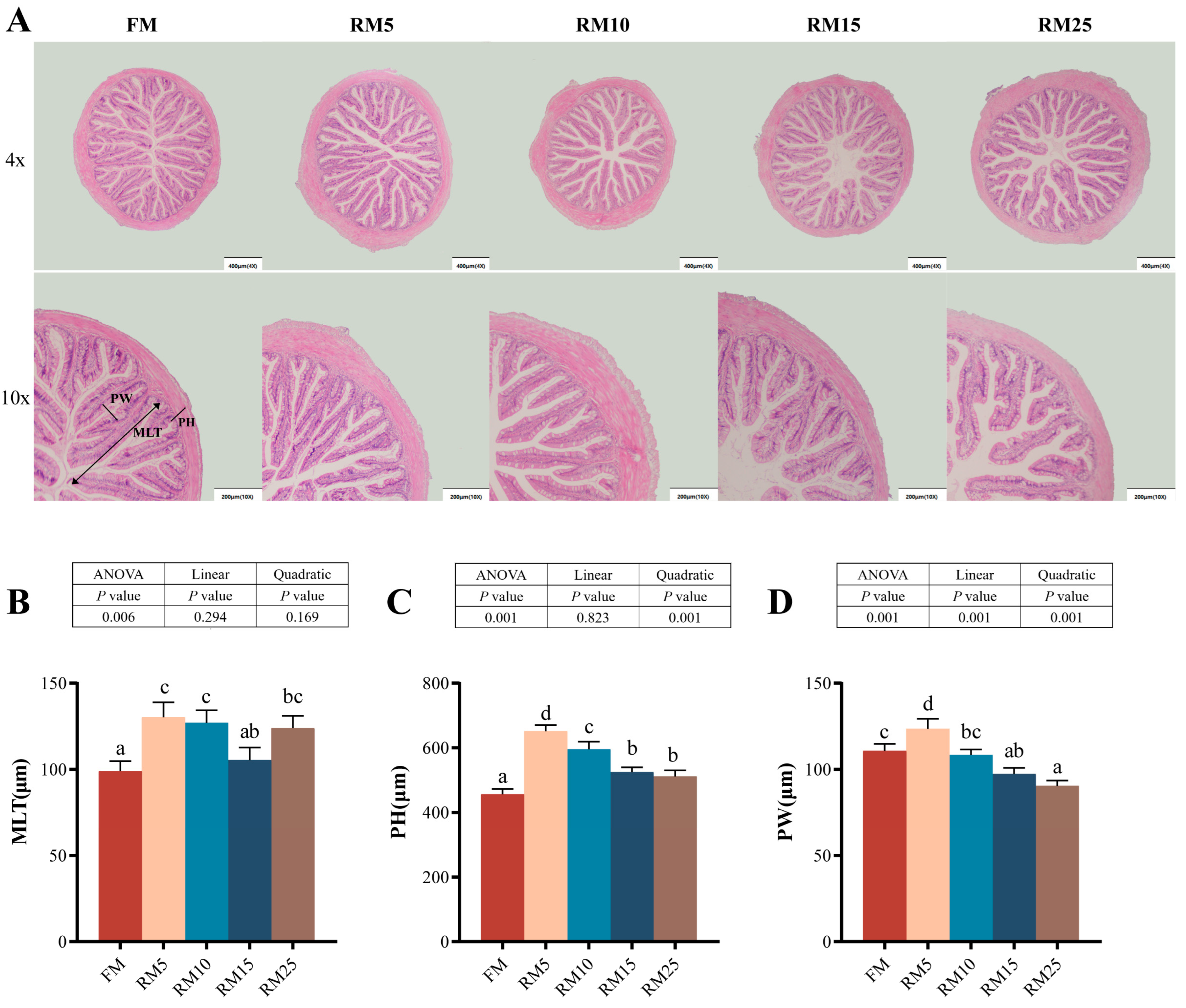 Microorganisms 13 02535 g001 Microorganisms 13 02535 g001