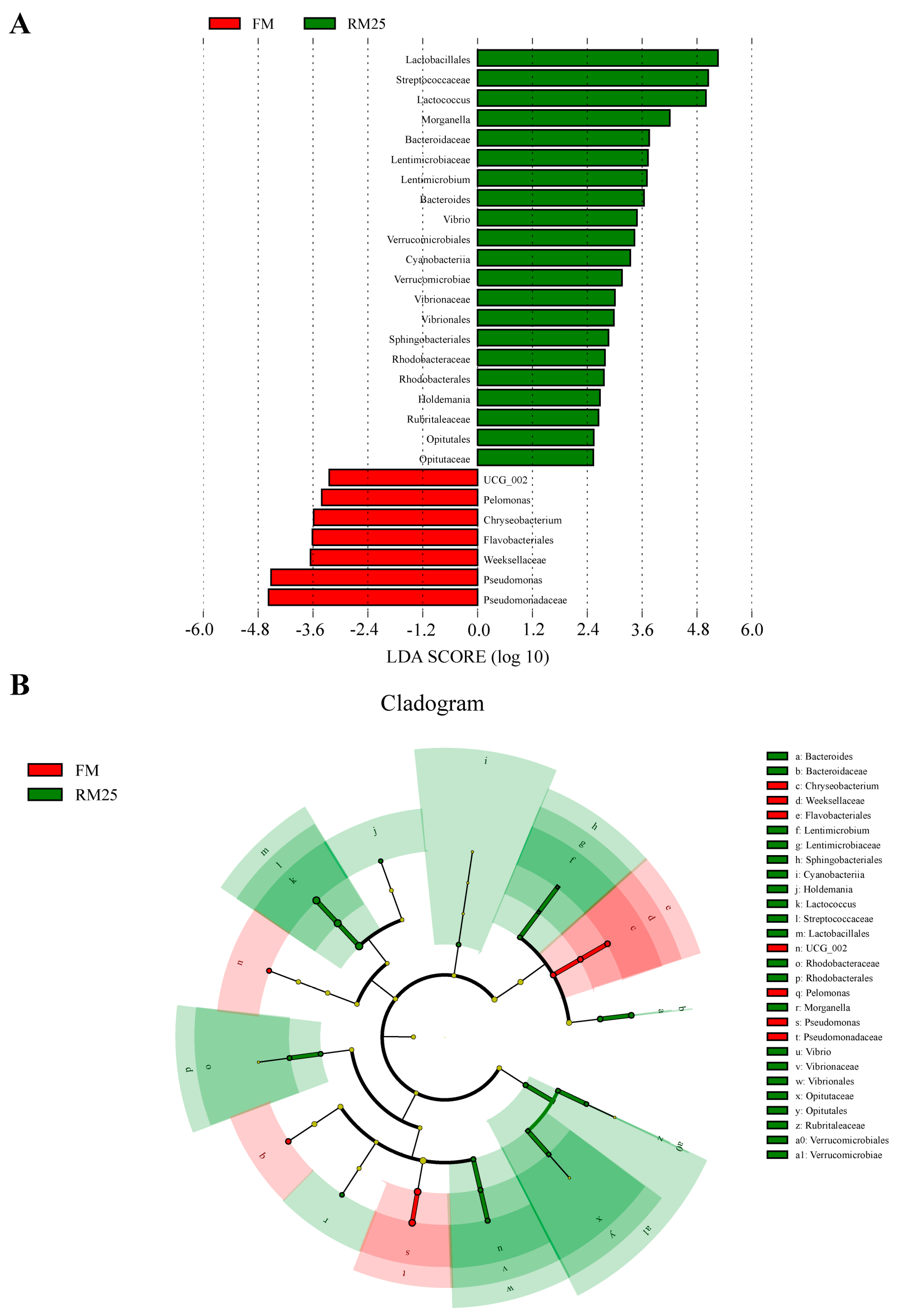 Microorganisms 13 02535 g006 Microorganisms 13 02535 g006