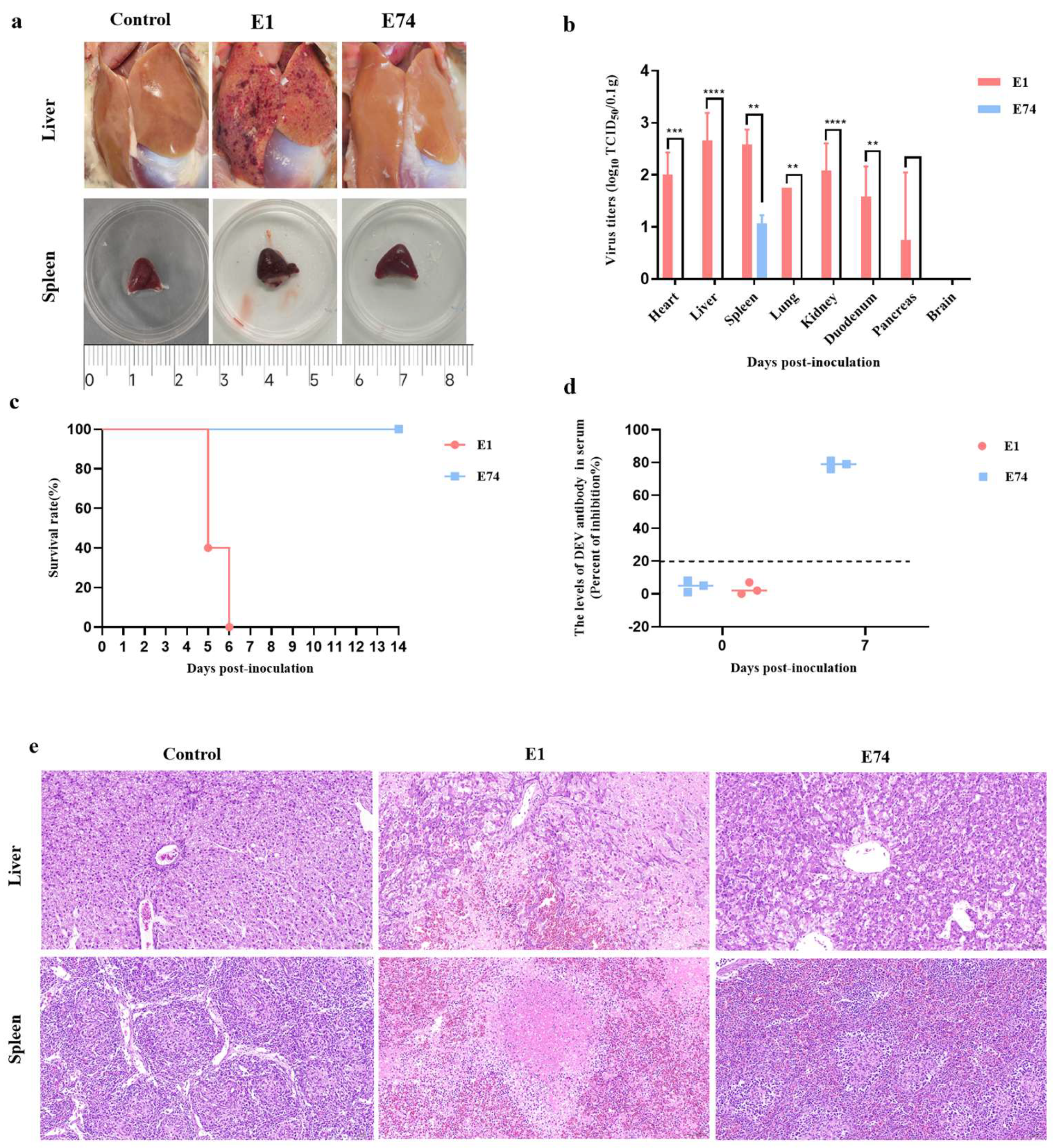 Microorganisms 13 02537 g002 Microorganisms 13 02537 g002