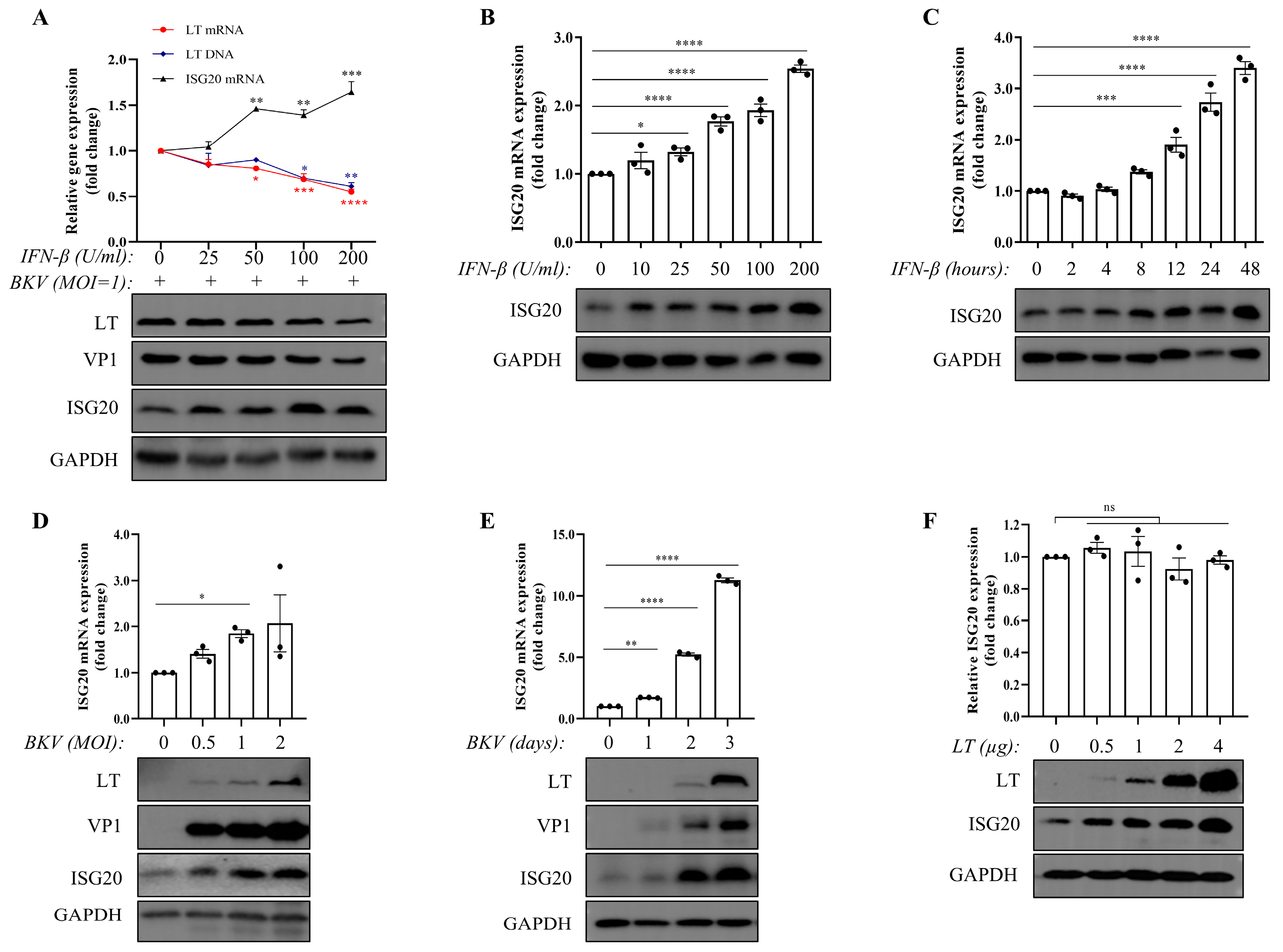 Microorganisms 13 02540 g001 Microorganisms 13 02540 g001
