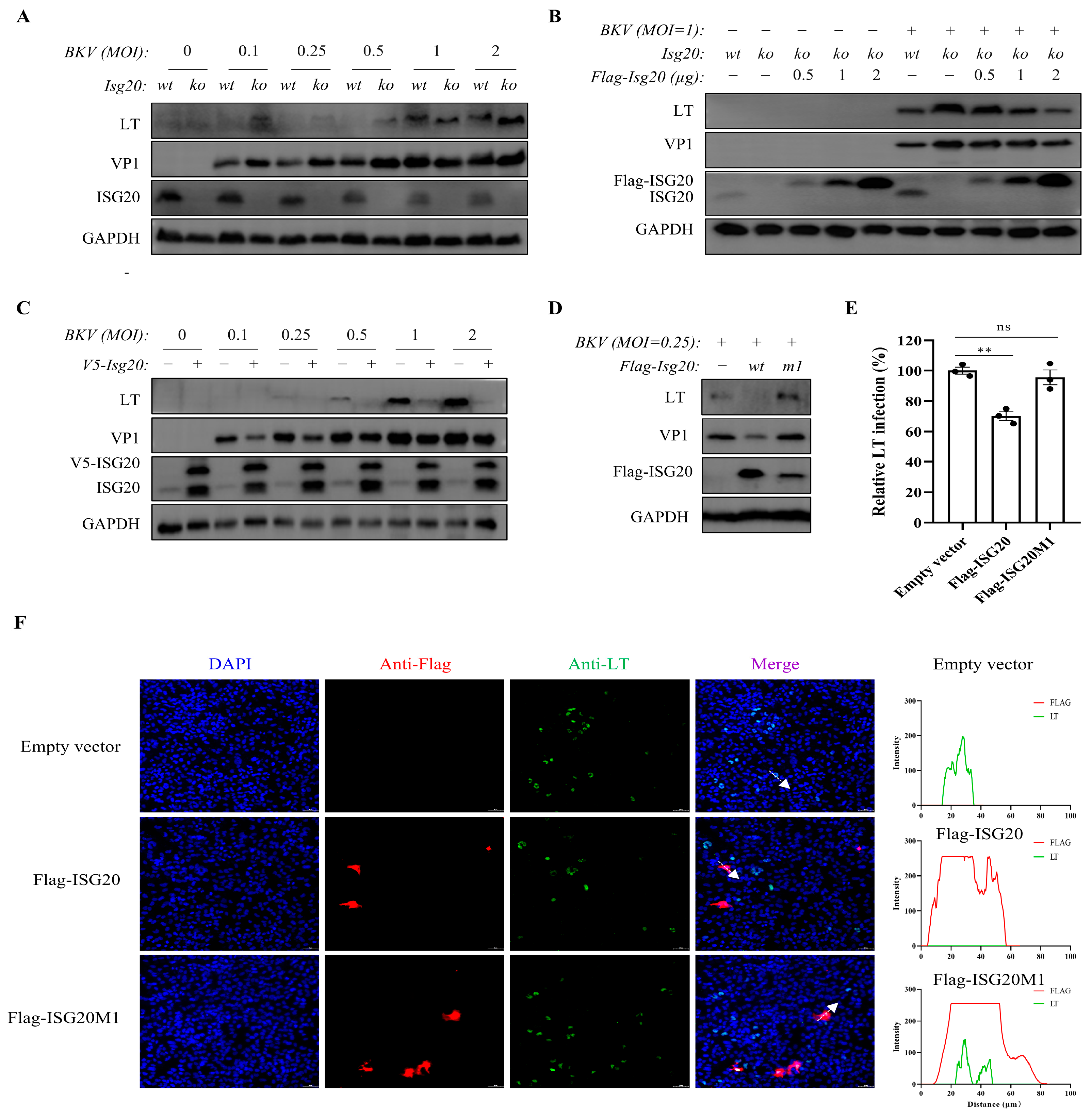 Microorganisms 13 02540 g002 Microorganisms 13 02540 g002