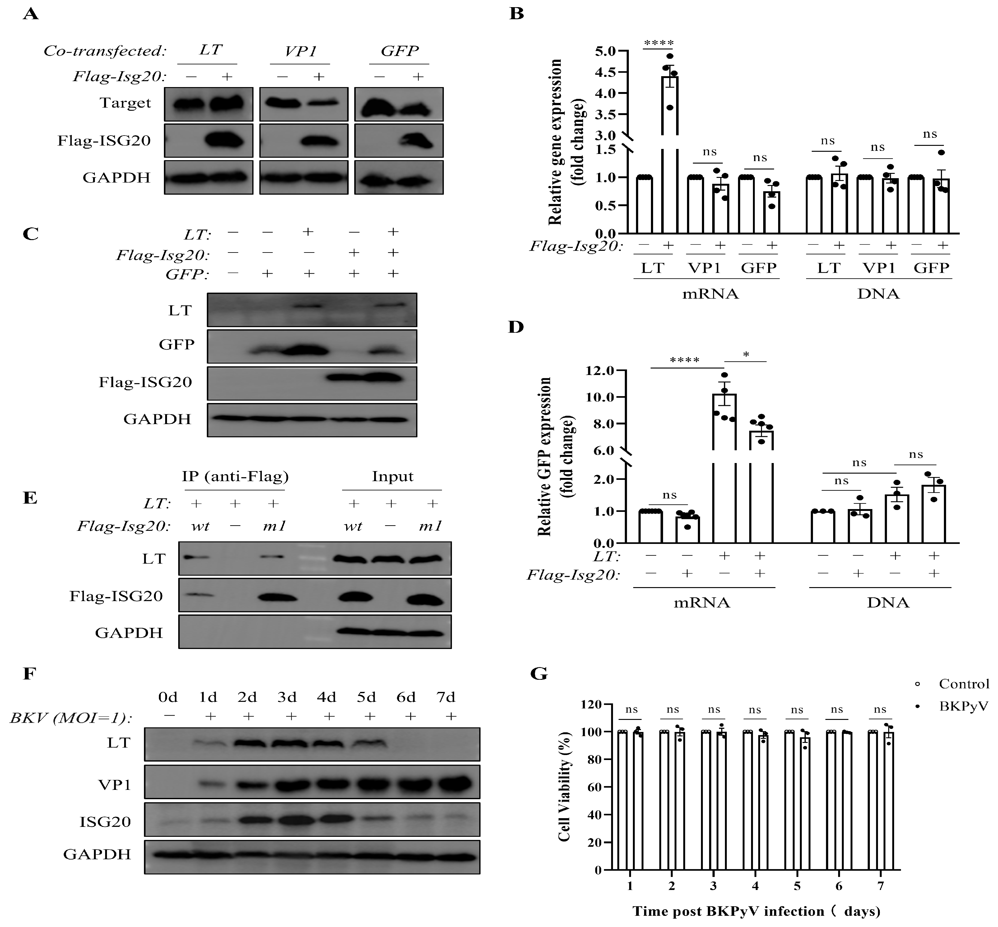 Microorganisms 13 02540 g003 Microorganisms 13 02540 g003