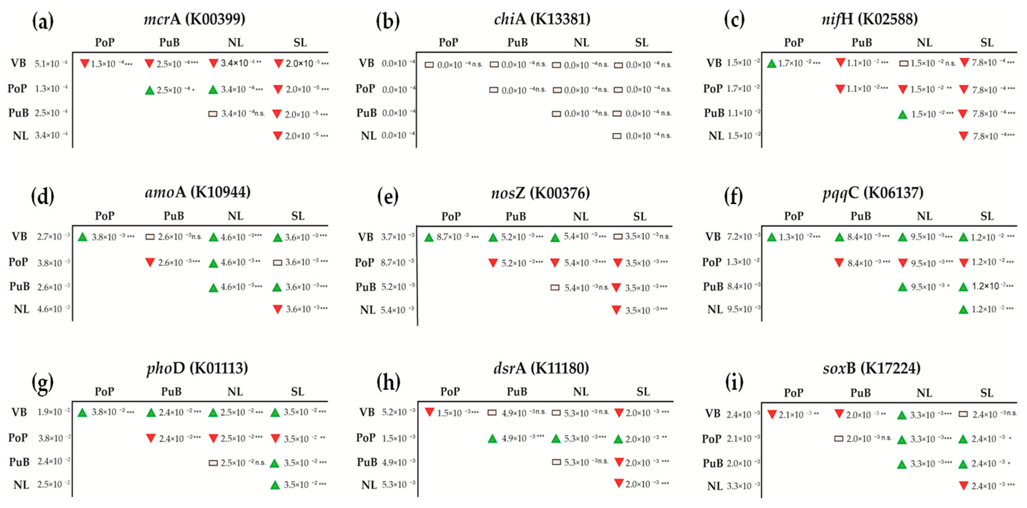 Microorganisms 13 02544 g007 Microorganisms 13 02544 g007