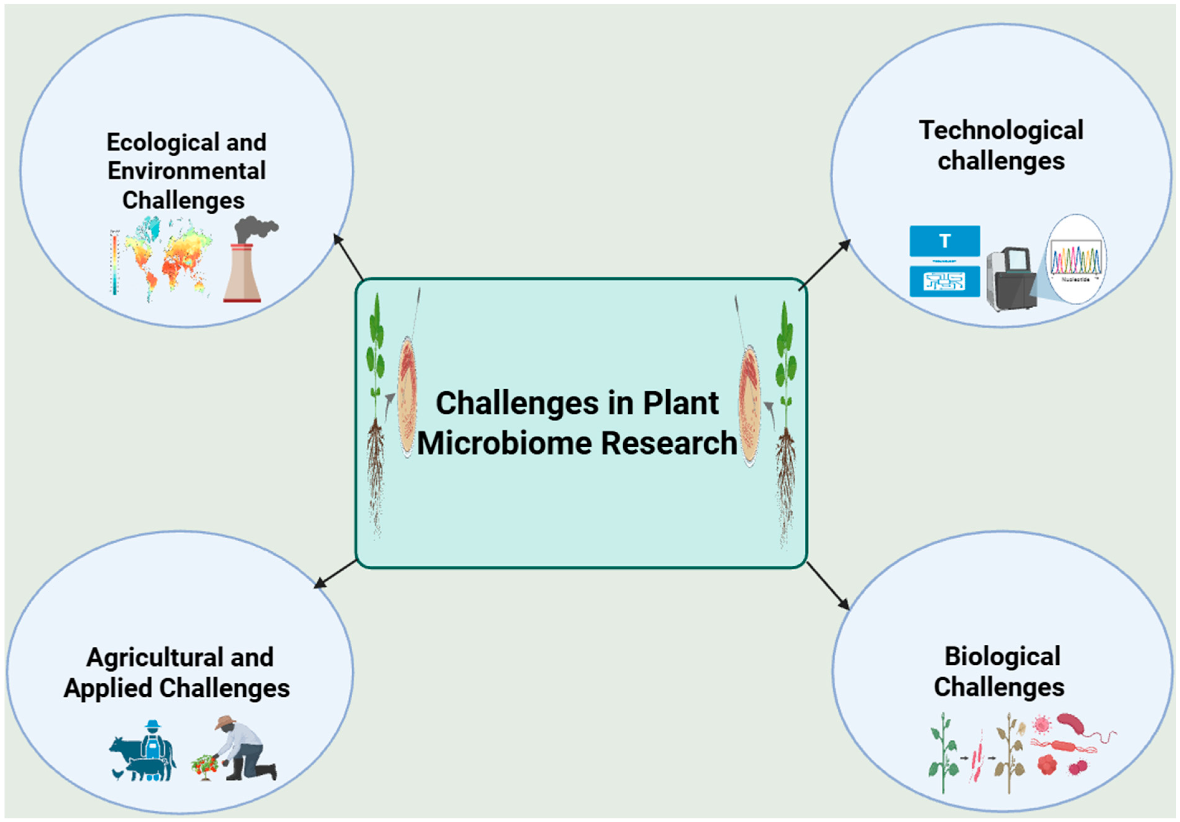 Microorganisms 13 02546 g001 Microorganisms 13 02546 g001