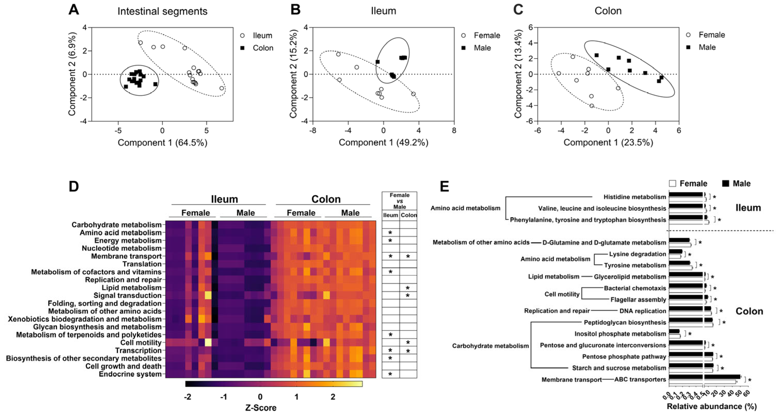 Microorganisms 13 02551 g006 Microorganisms 13 02551 g006