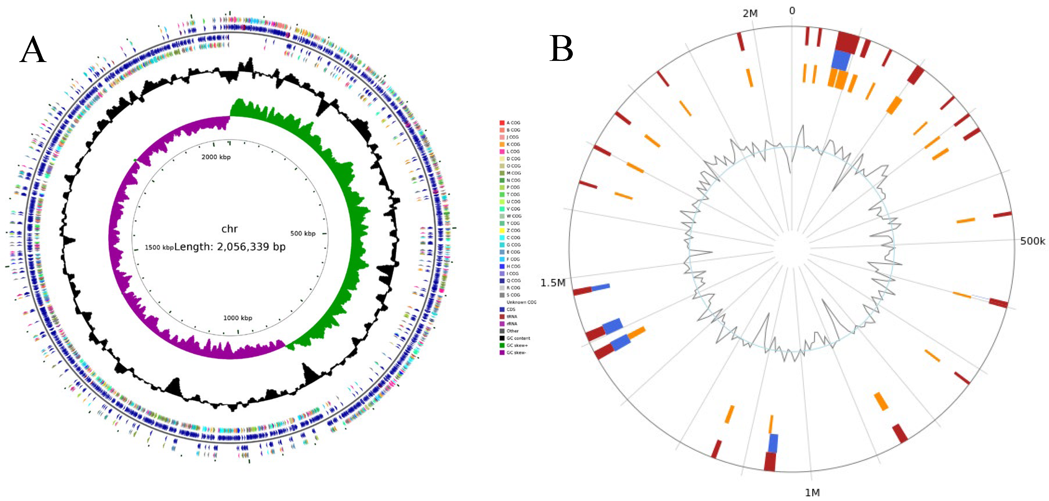 Microorganisms 13 02552 g002
