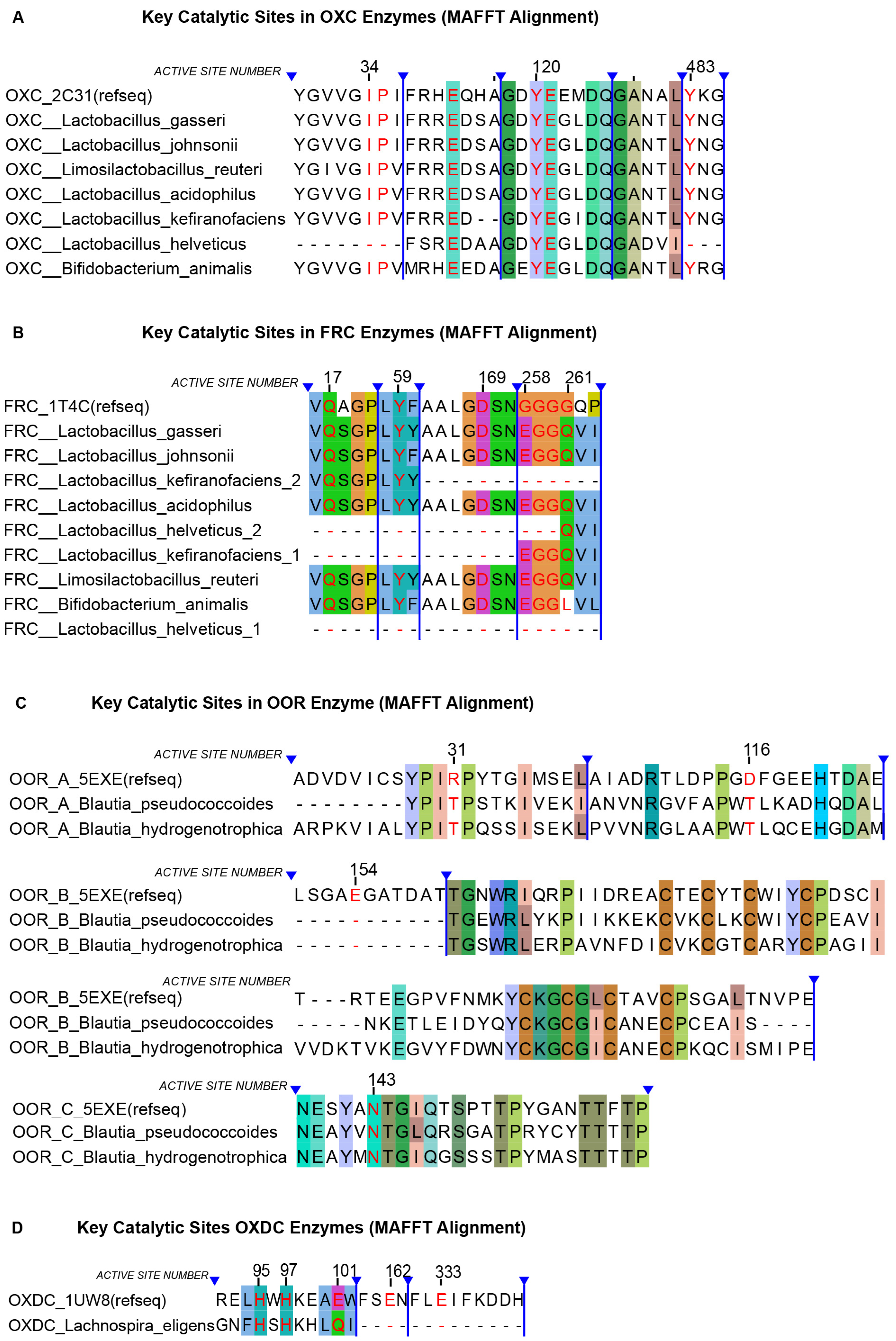 Microorganisms 13 02553 g003 Microorganisms 13 02553 g003