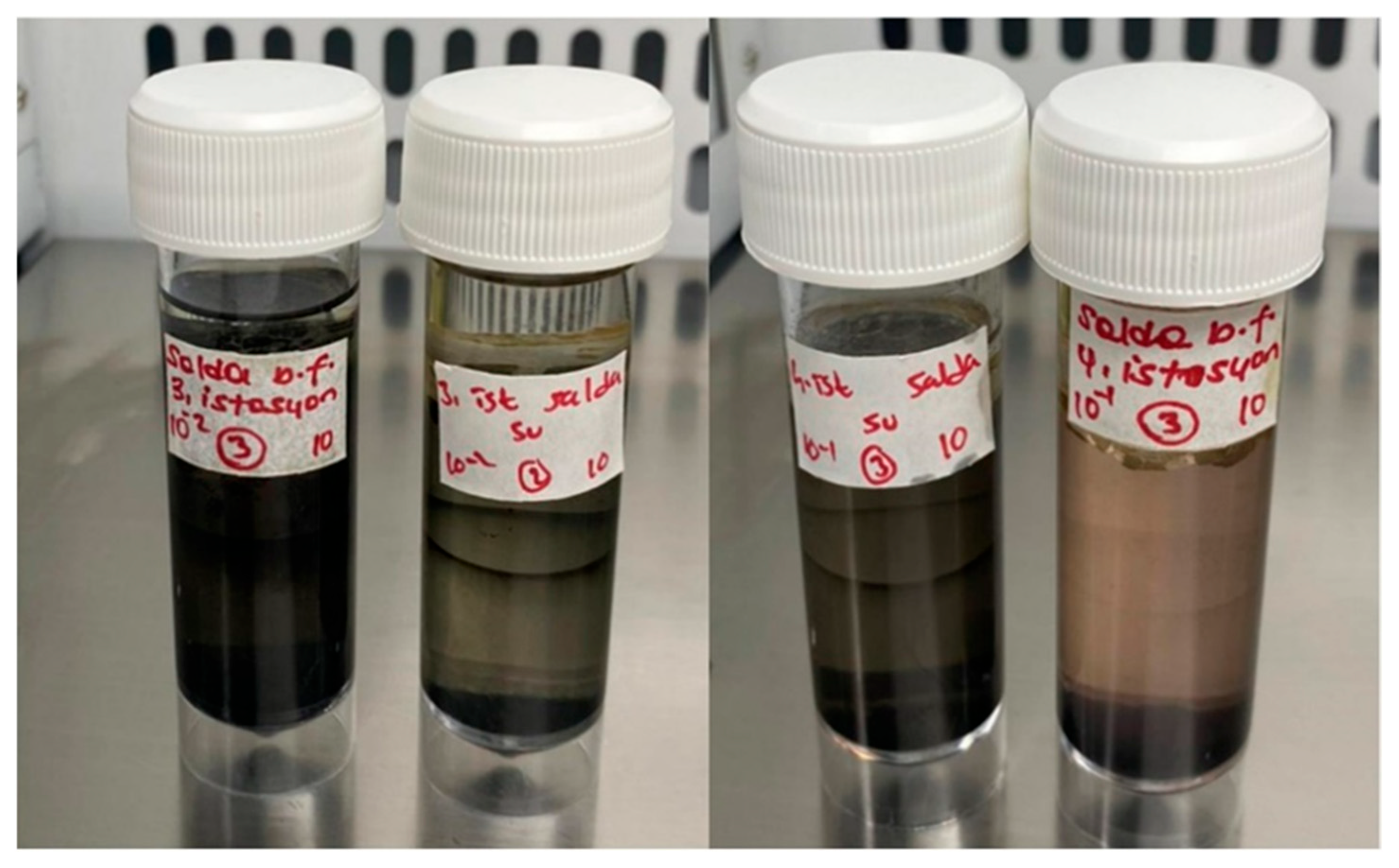 Microorganisms 13 02555 g005