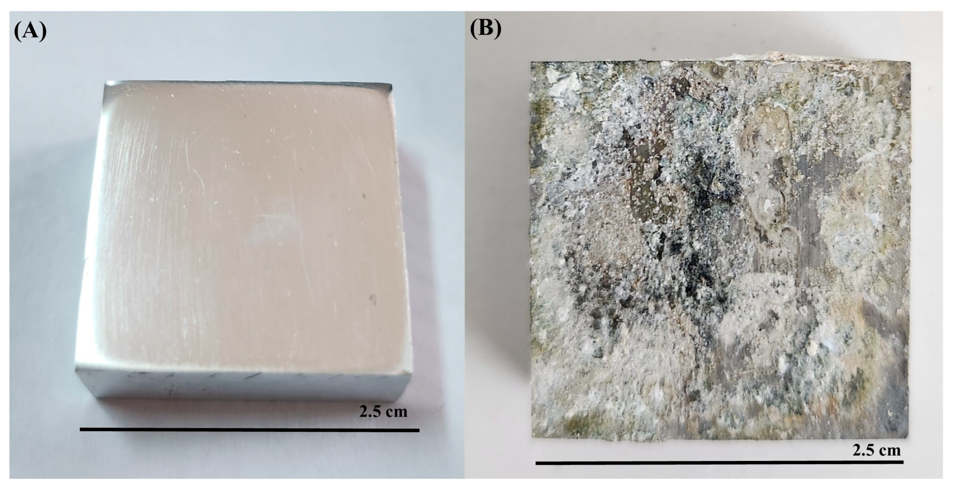 Microorganisms 13 02555 g009