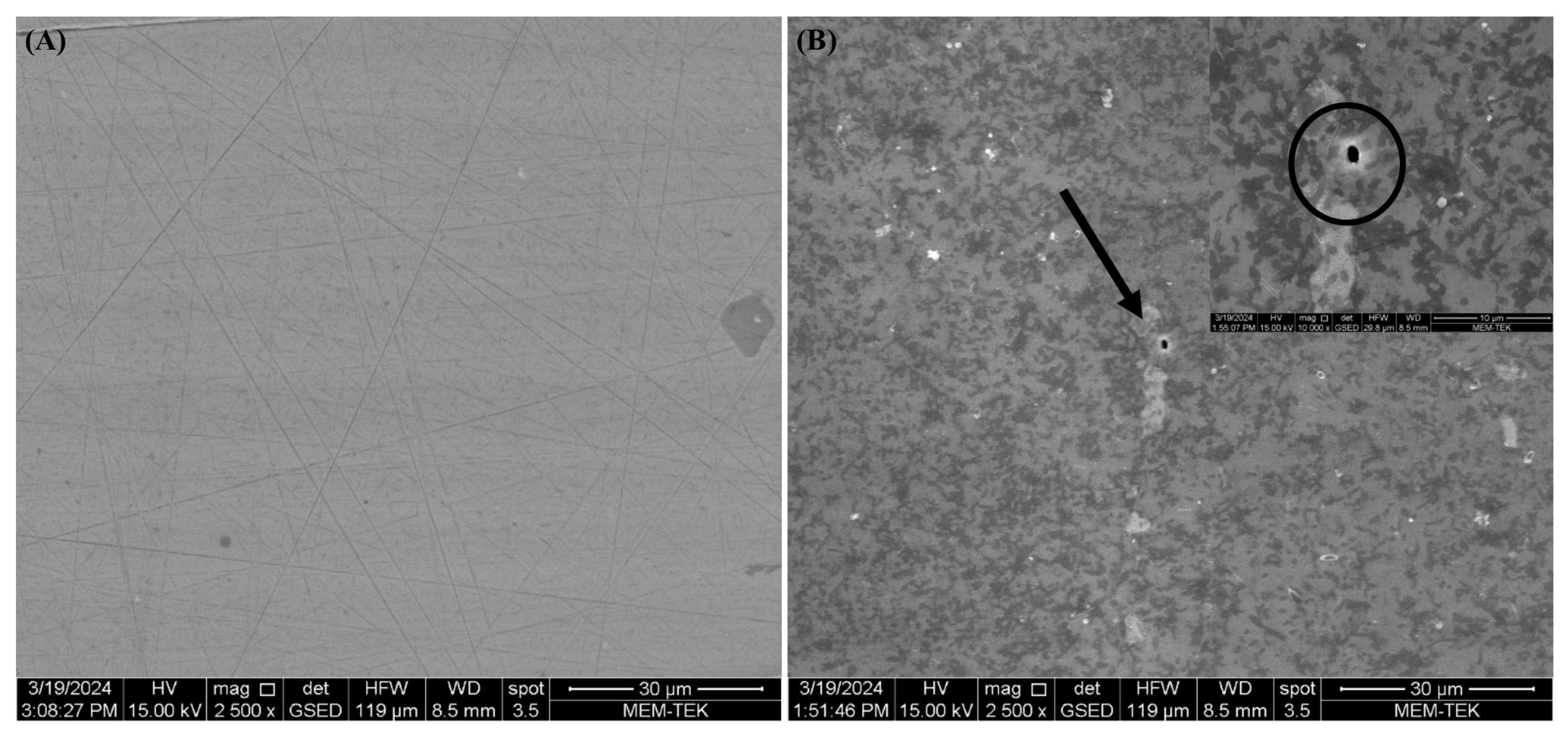 Microorganisms 13 02555 g010