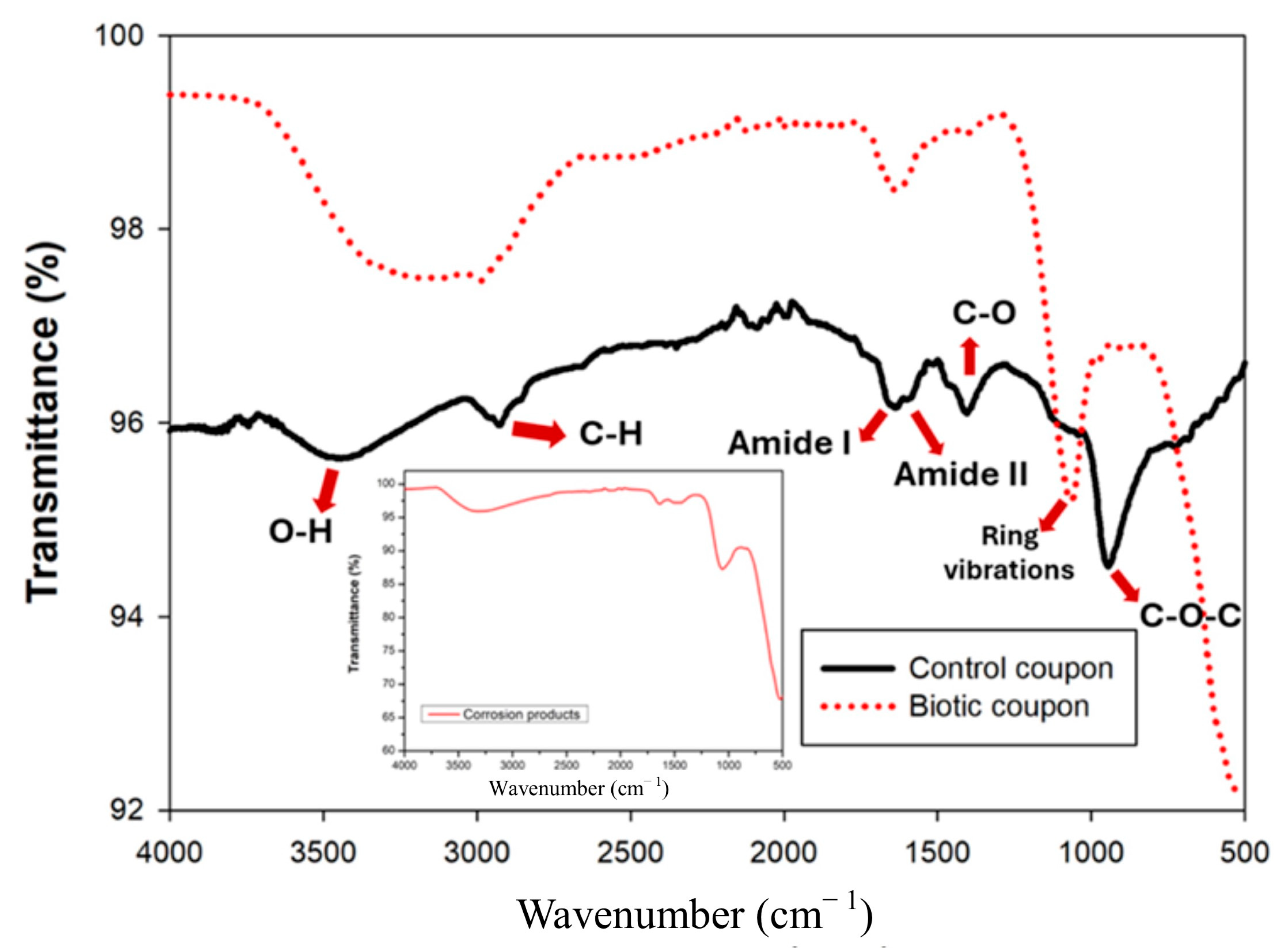 Microorganisms 13 02555 g015