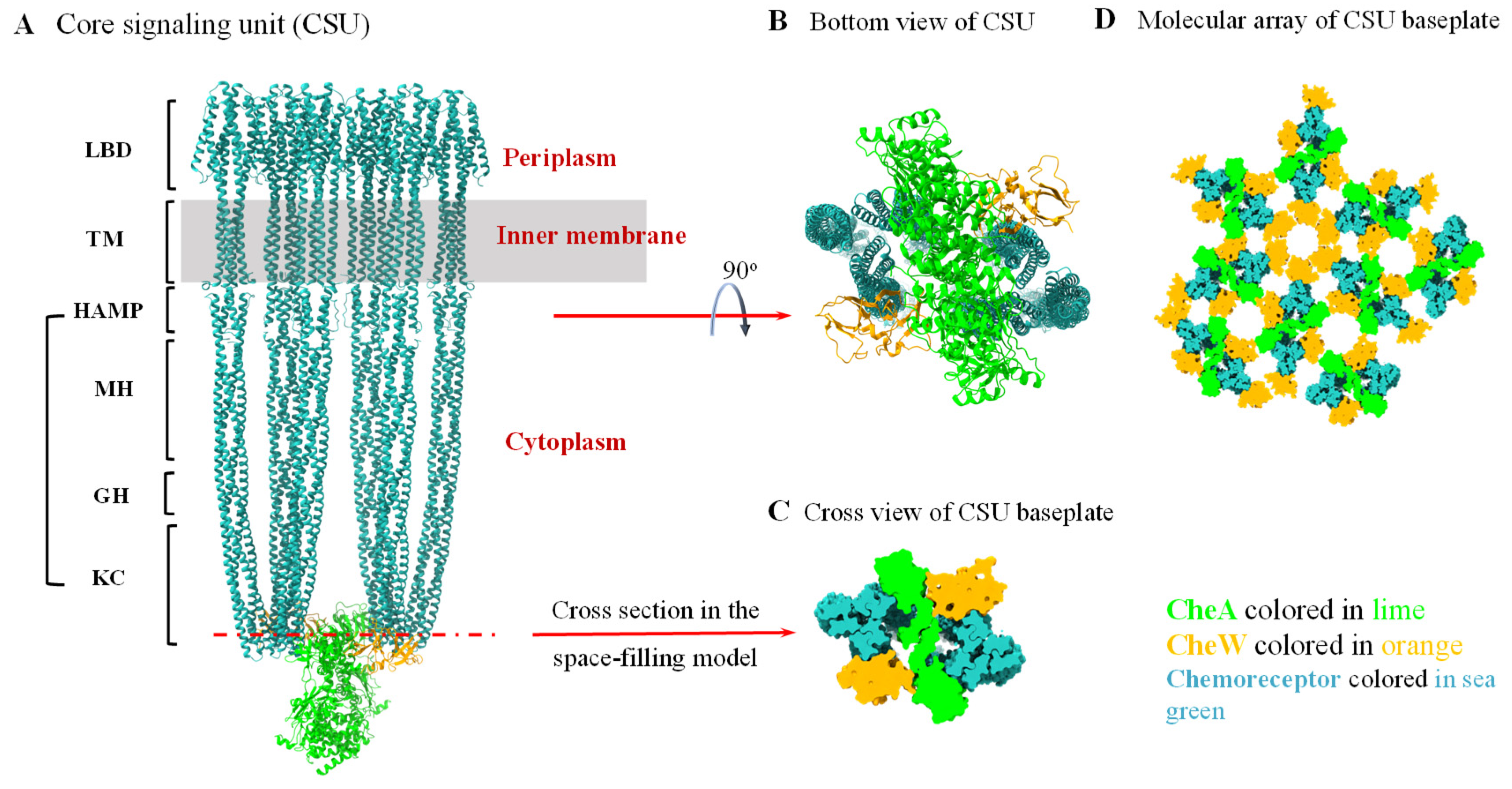 Microorganisms 13 02556 g001 Microorganisms 13 02556 g001