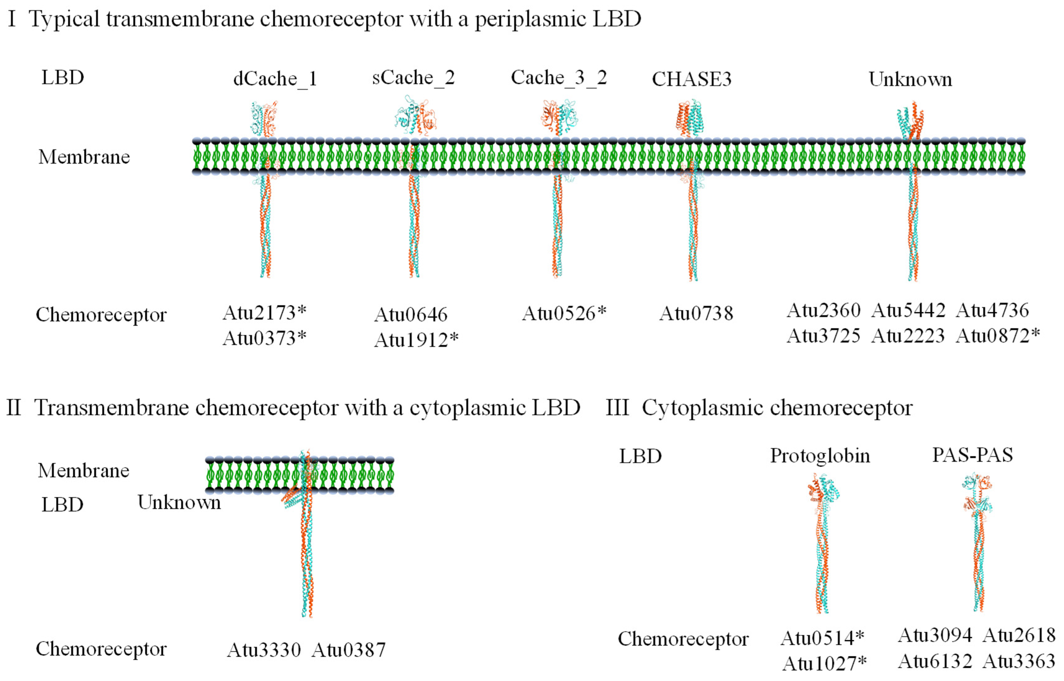 Microorganisms 13 02556 g002 Microorganisms 13 02556 g002