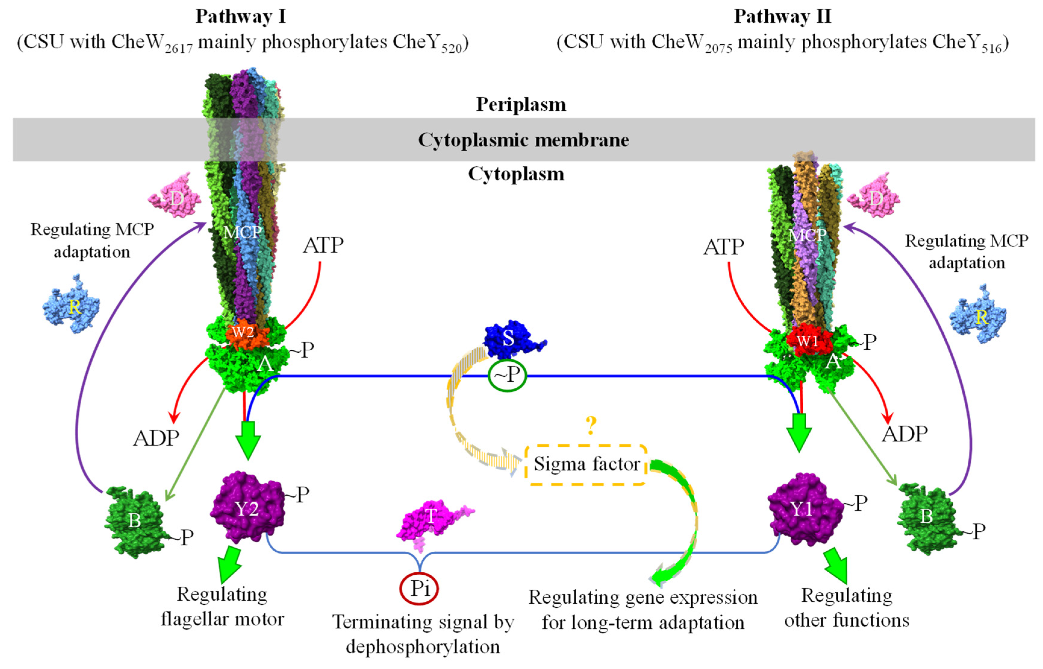 Microorganisms 13 02556 g003 Microorganisms 13 02556 g003
