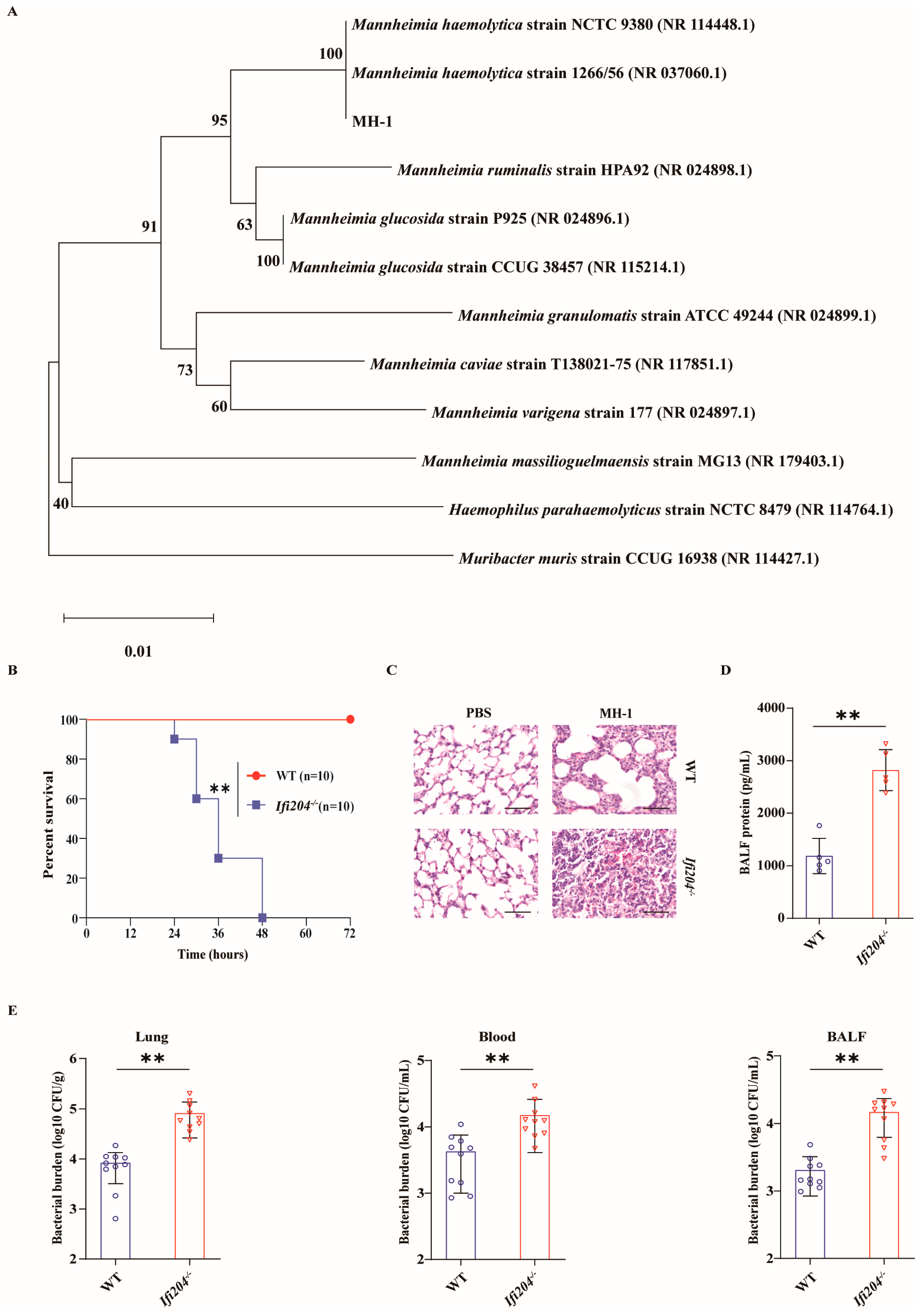 Microorganisms 13 02557 g001
